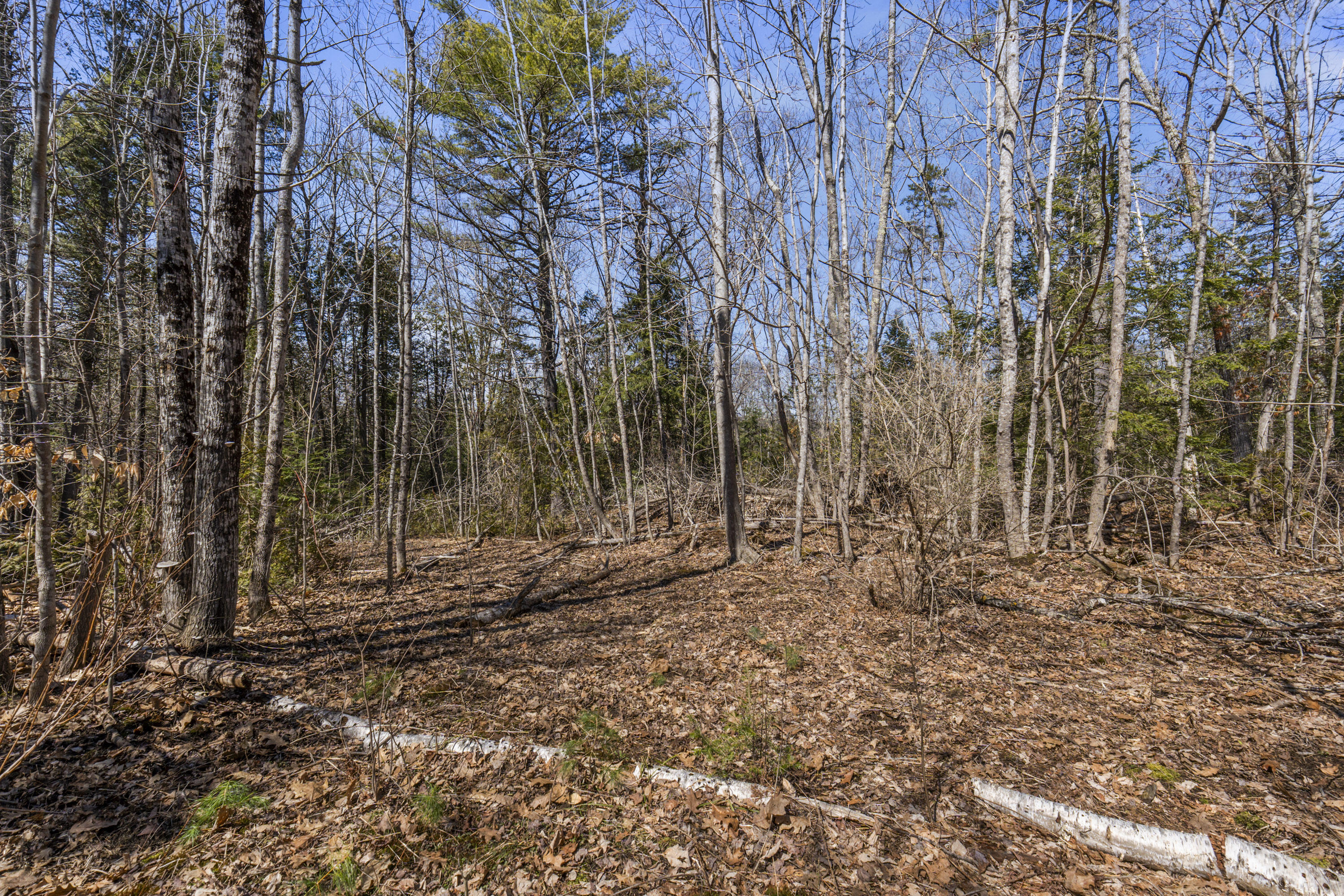 569 Middle Road Dresden, ME 04342 - Photo 53 of 66 569 Middle Rd_110