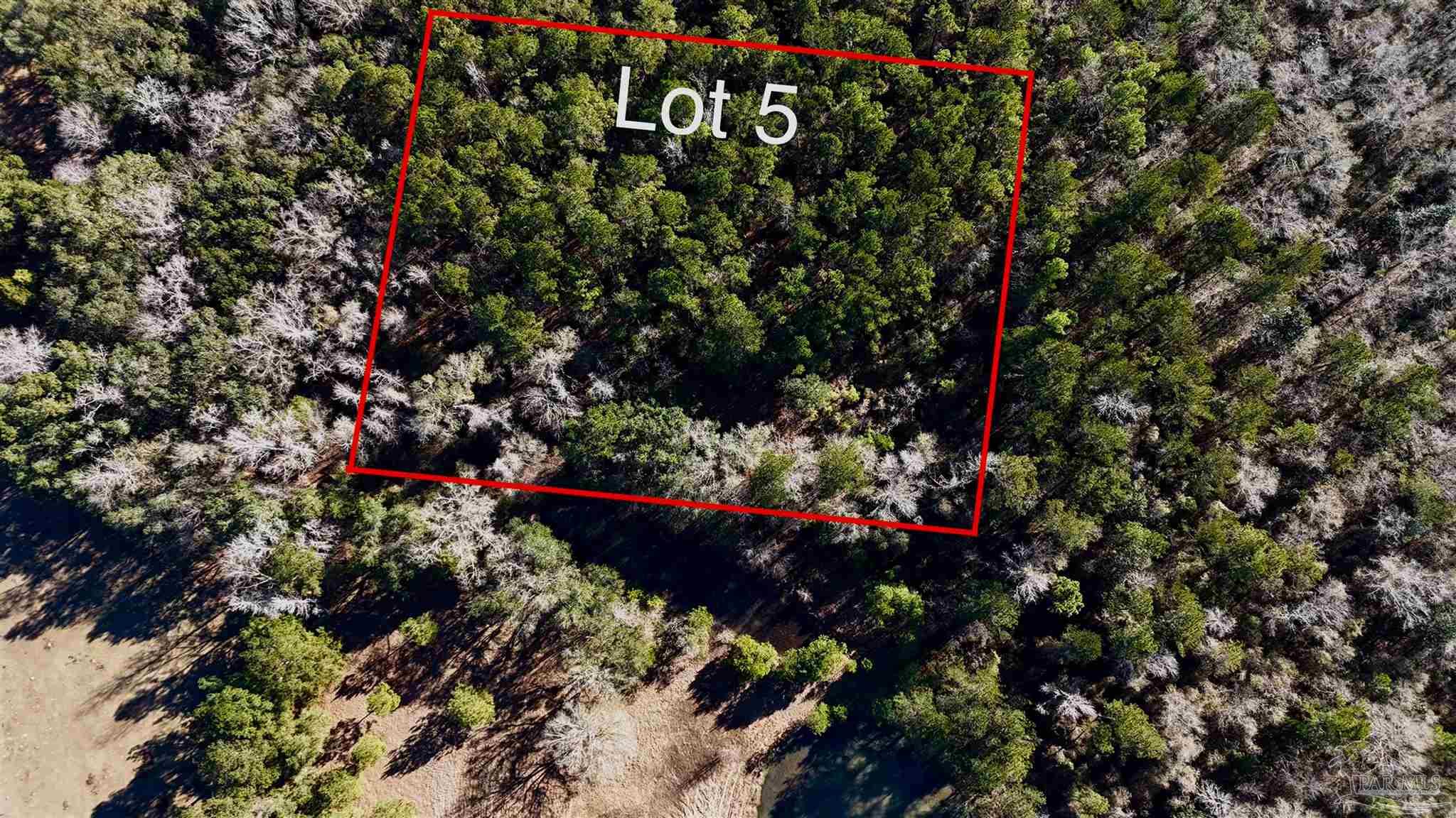 Lot 5 Tidwell Road Pace, FL 32571 - Photo 1 of 5