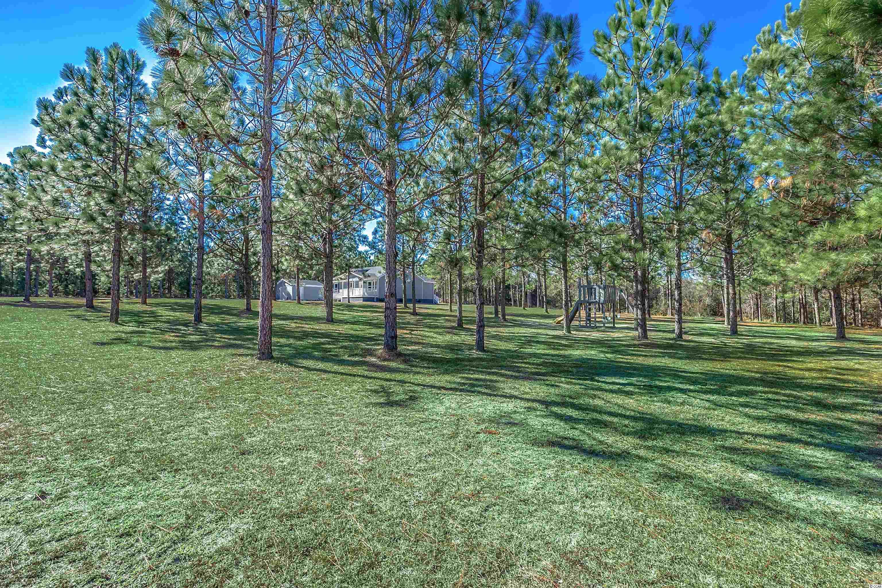 3314 B And S Road Loris, SC 29569 - Photo 30 of 35 Gallery Image 30