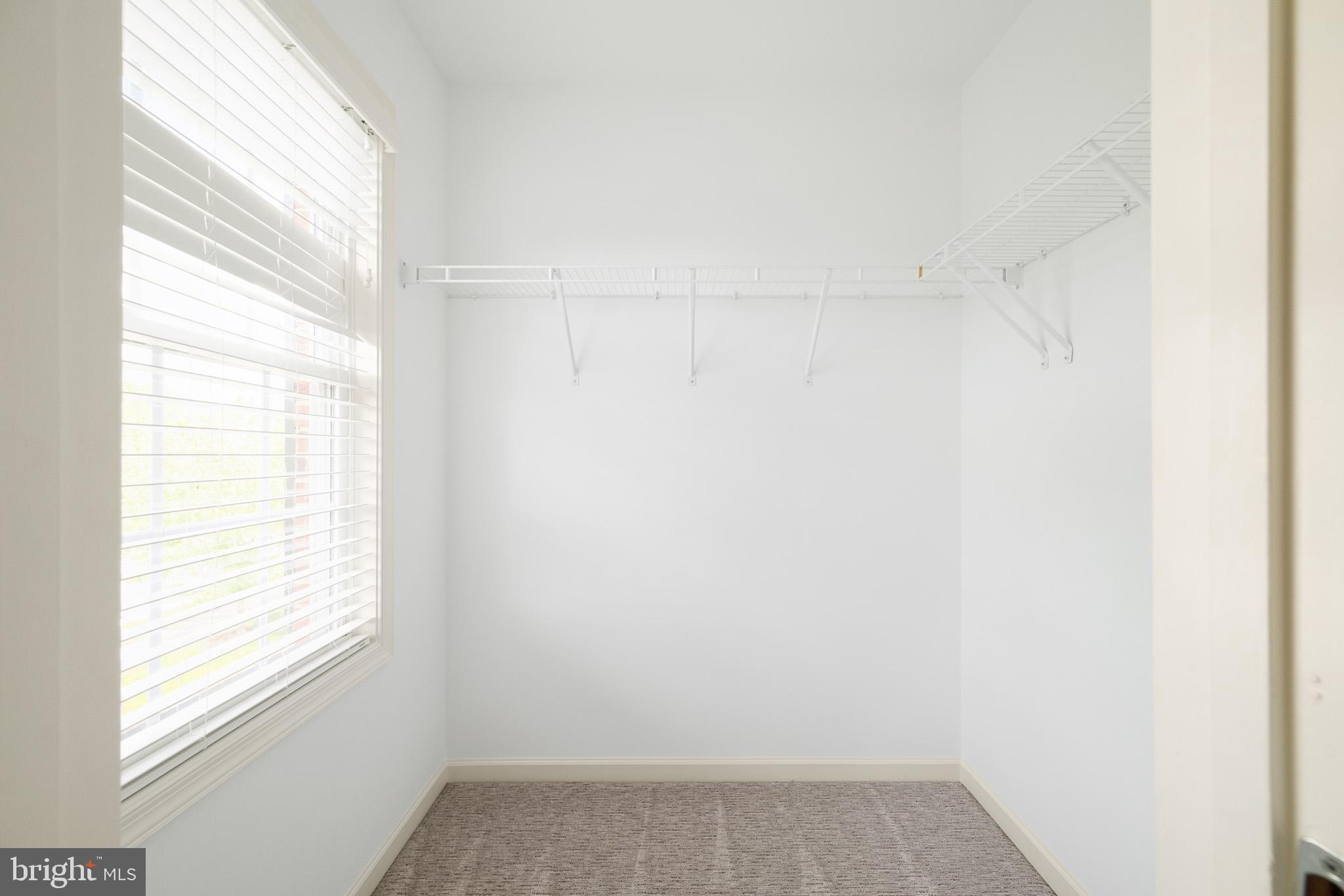 42387 Rising Moon Place Brambleton, VA 20148 - Photo 37 of 58 Walk in Closet