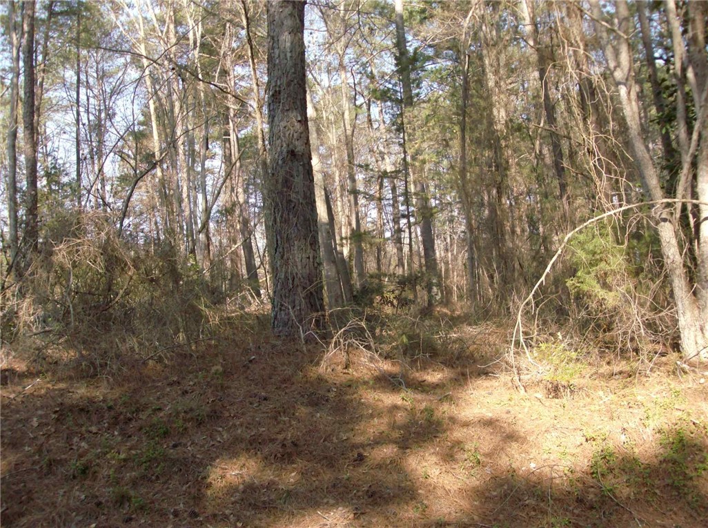 21 Pine Lane Anderson, SC 29621 - Photo 3 of 4