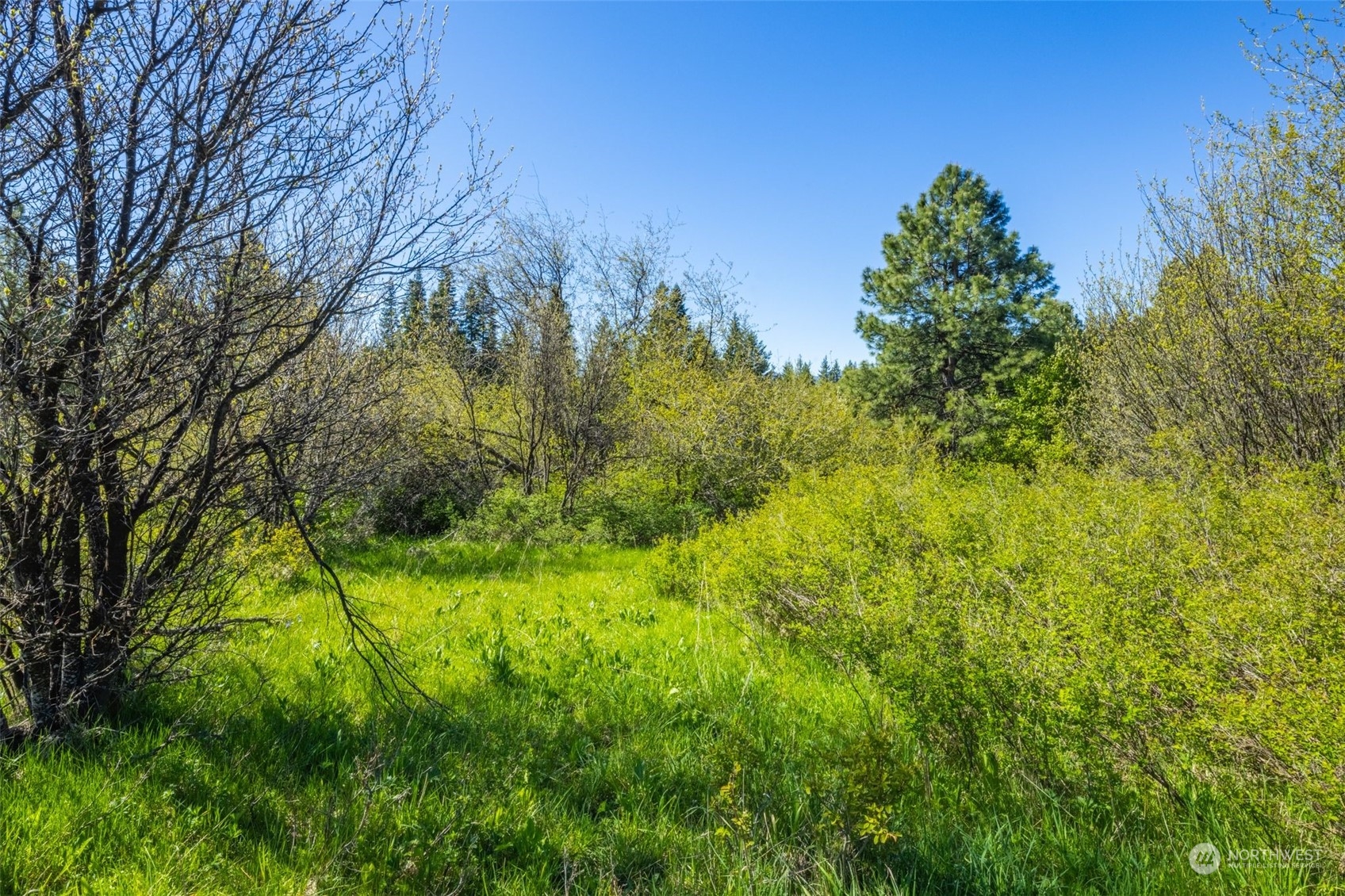 0 Double O Road Ronald, WA 98940 - Photo 1 of 1 Gallery Image 1