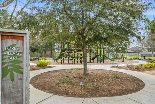 a view of backyard with palm trees