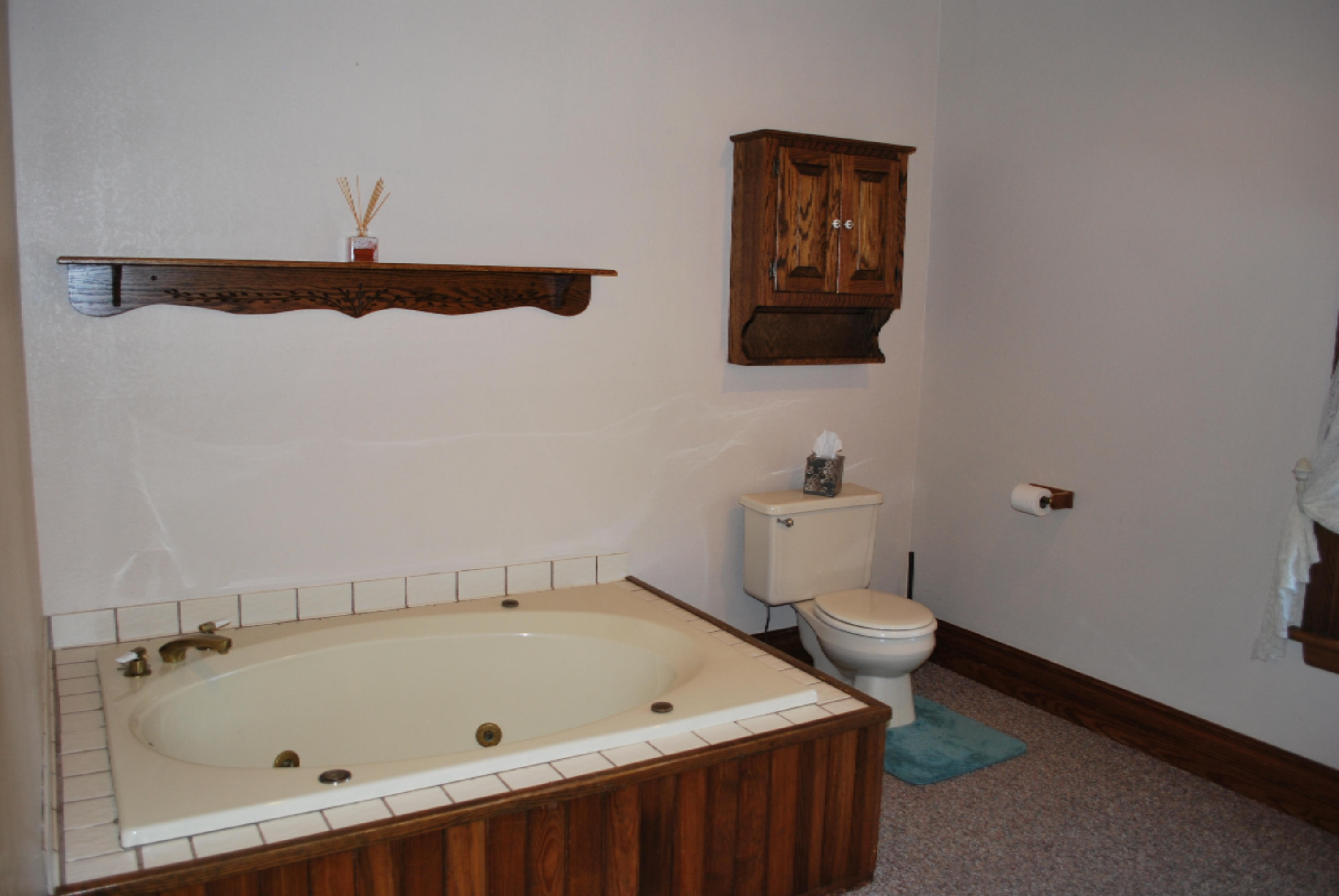 7410 Osborn Road Carson City, MI 48811 - Photo 15 of 26 Osborn Road 015
