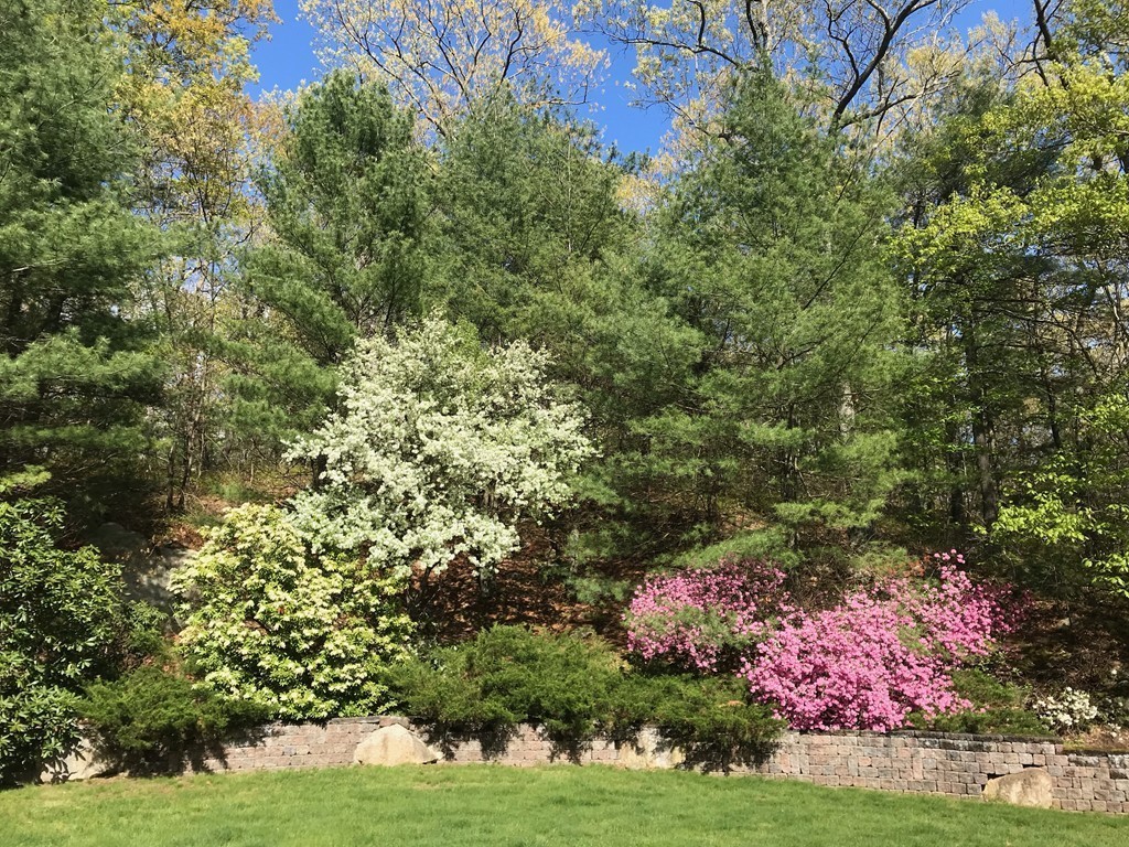 37 Manomet Road Sharon, MA 02067 - Photo 2 of 19 Gallery Image 2