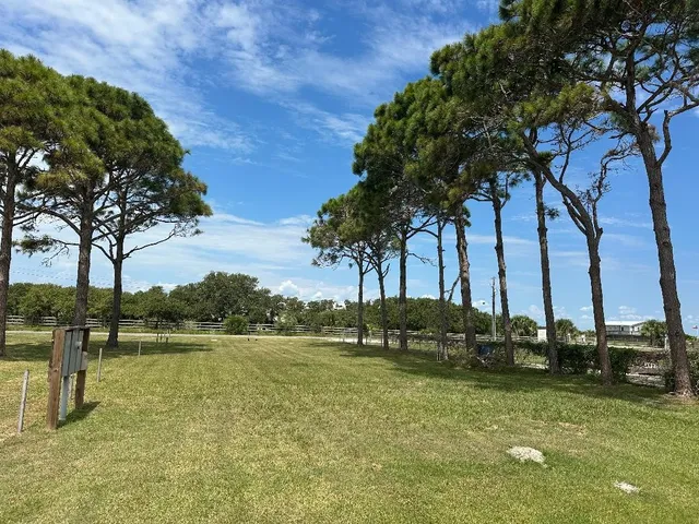a lake view with palm trees