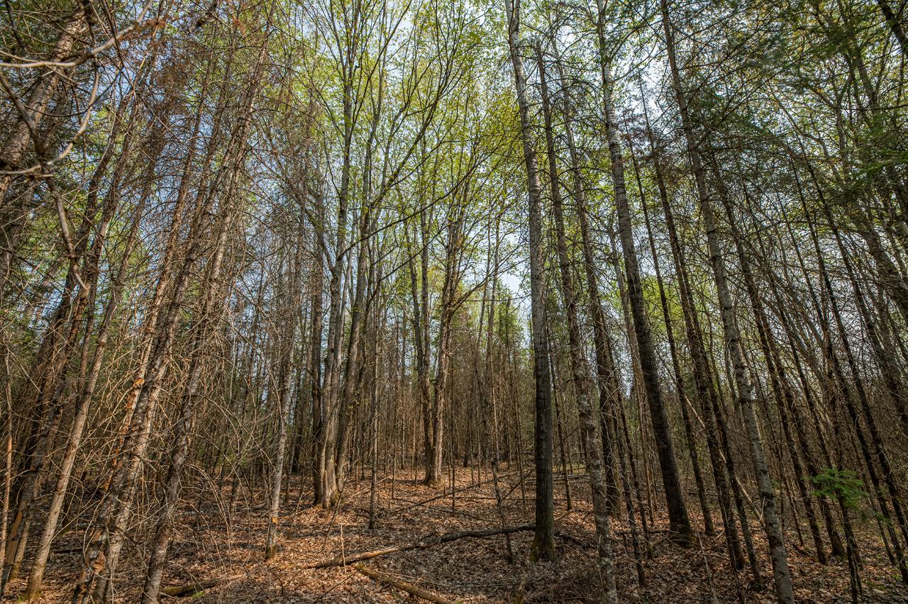 On Frontier Road Presque Isle, WI 54557 - Photo 2 of 42 Gallery Image 2