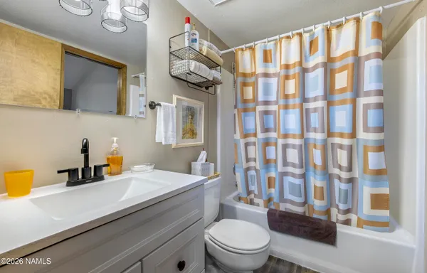 a bathroom with a sink a toilet and shower curtain