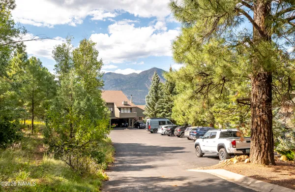 a view of yard with patio