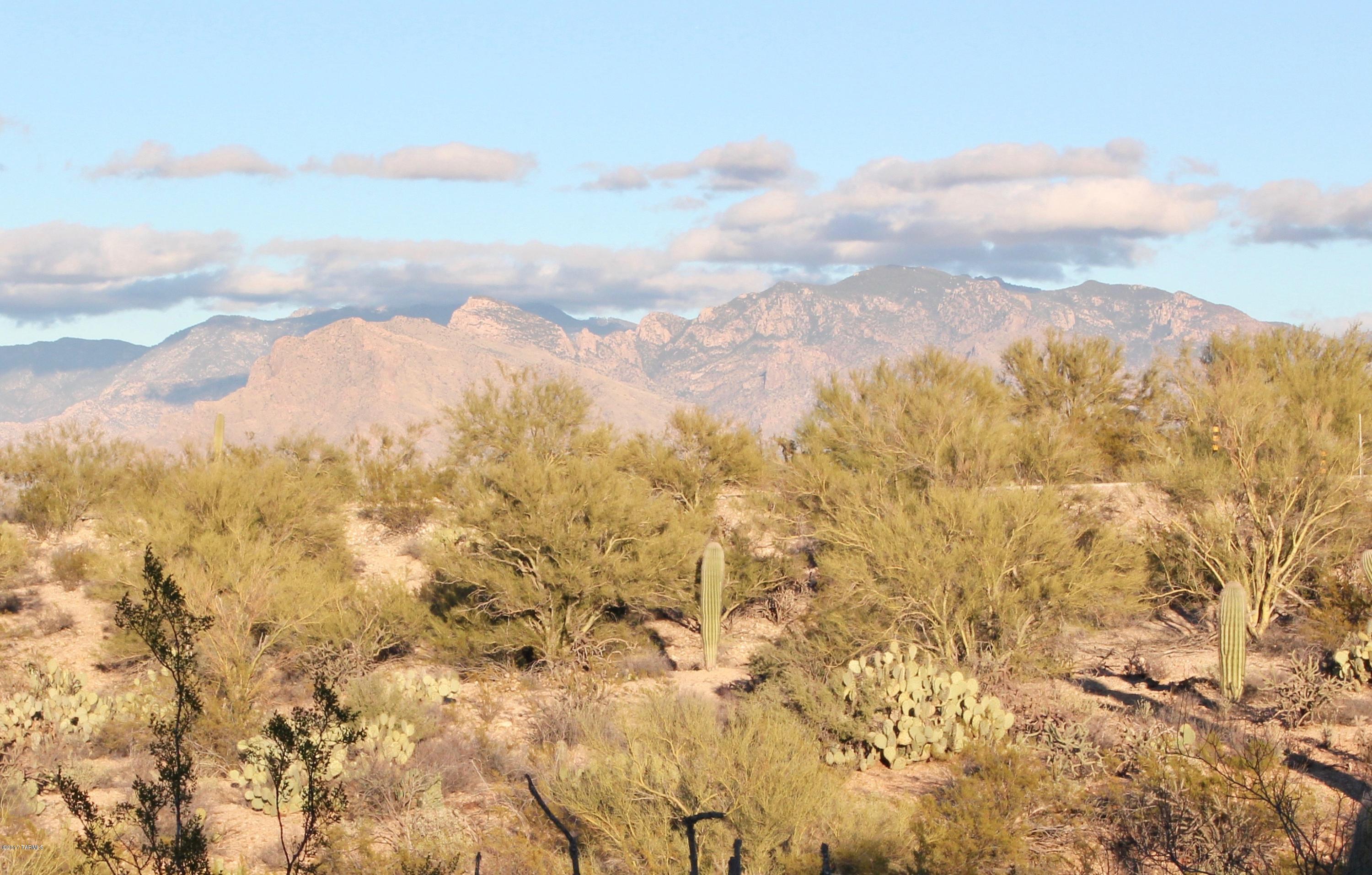 4801 North Gerhart Road Tucson, AZ 85745 - Photo 16 of 34 Gallery Image 16