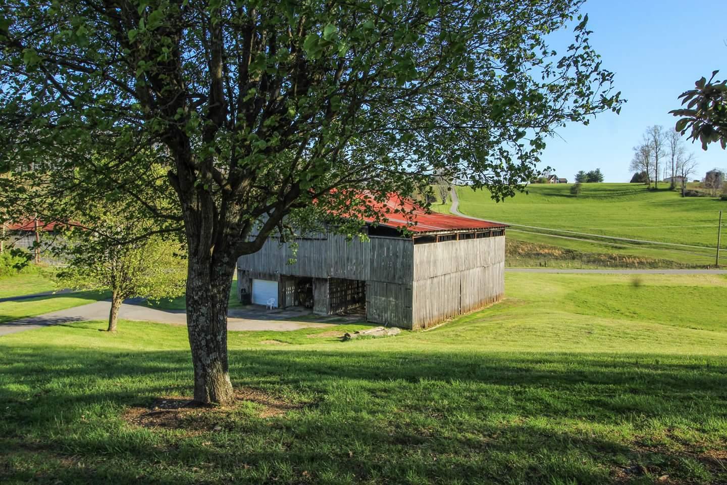 353 Hubbs Grove Road Maynardville, TN 37807 - Photo 12 of 23 FB_IMG_1523621516803