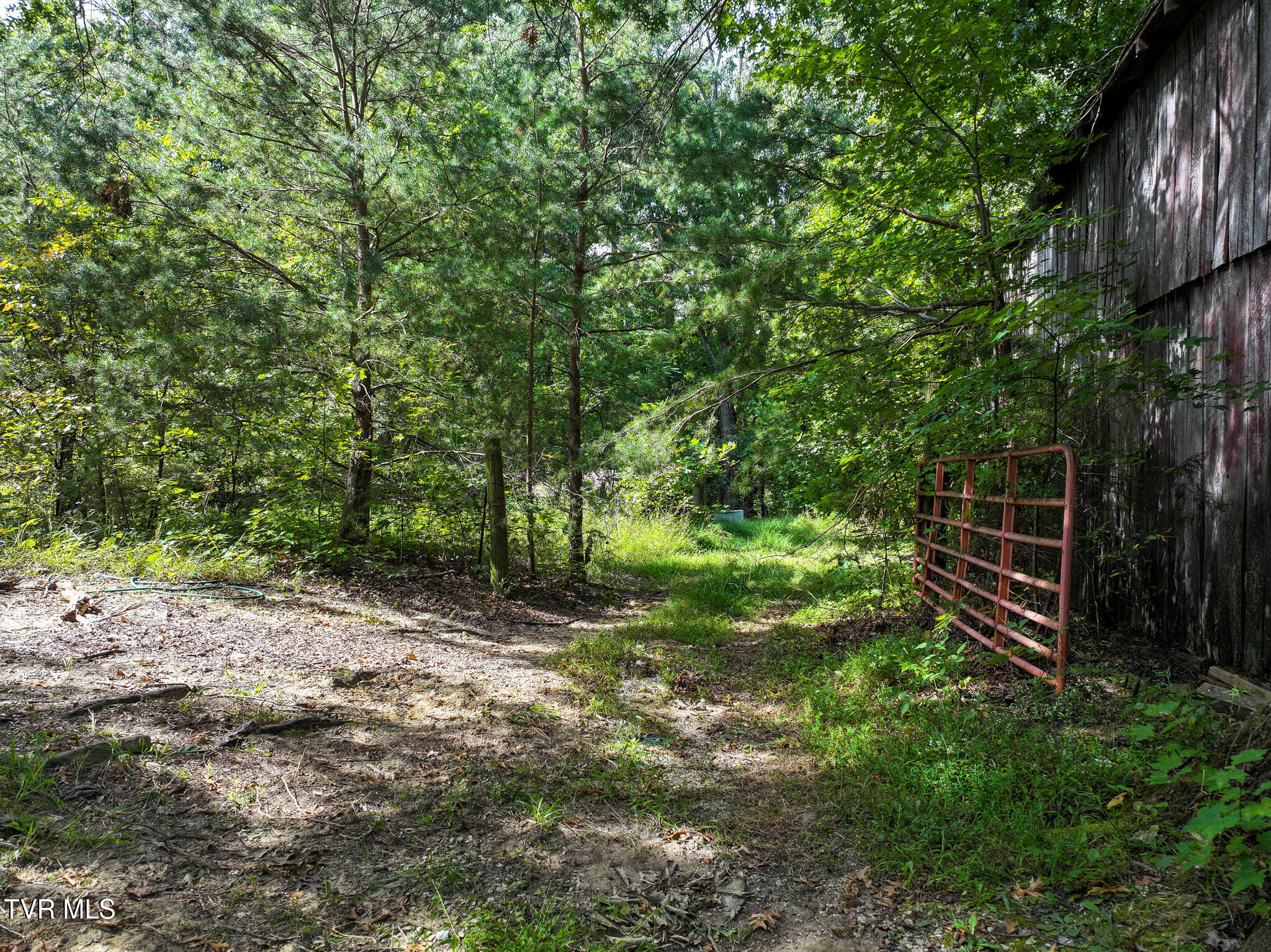 250 Bill Martin Road Afton, TN 37616 - Photo 5 of 23 5