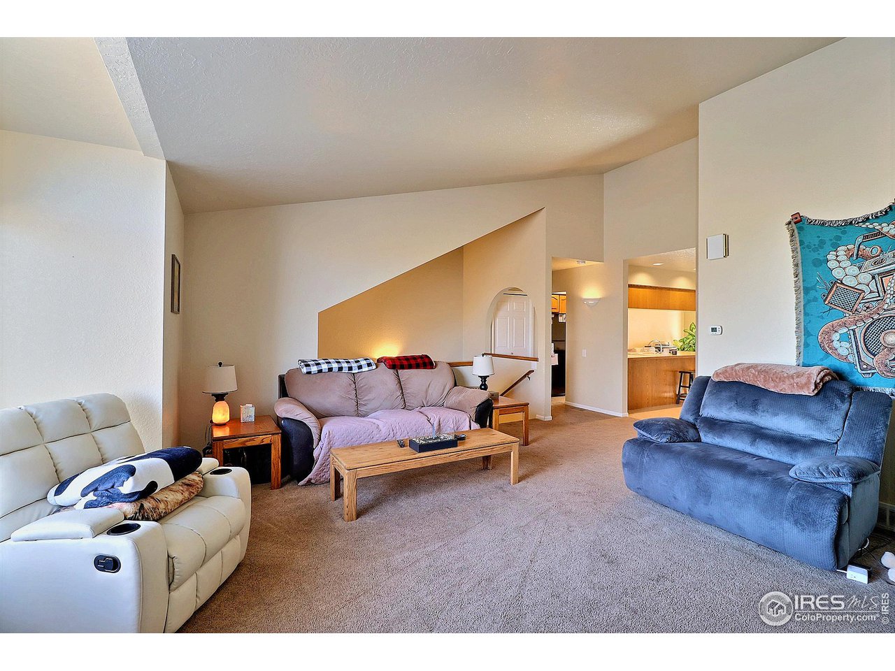 4924 10th Street Road Greeley, CO 80634 - Photo 7 of 24 Vaulted Ceiling Details