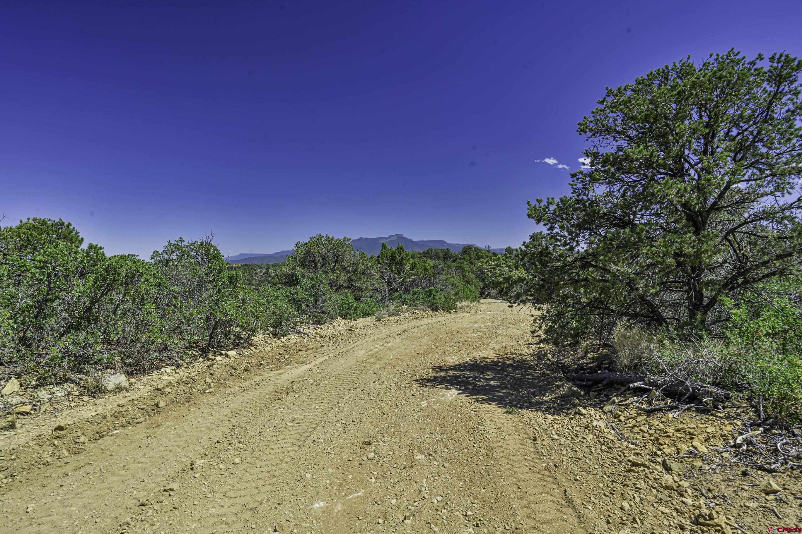 Tbd Tbd Fishers Peak Ranch Trinidad, CO 81082 - Photo 19 of 31