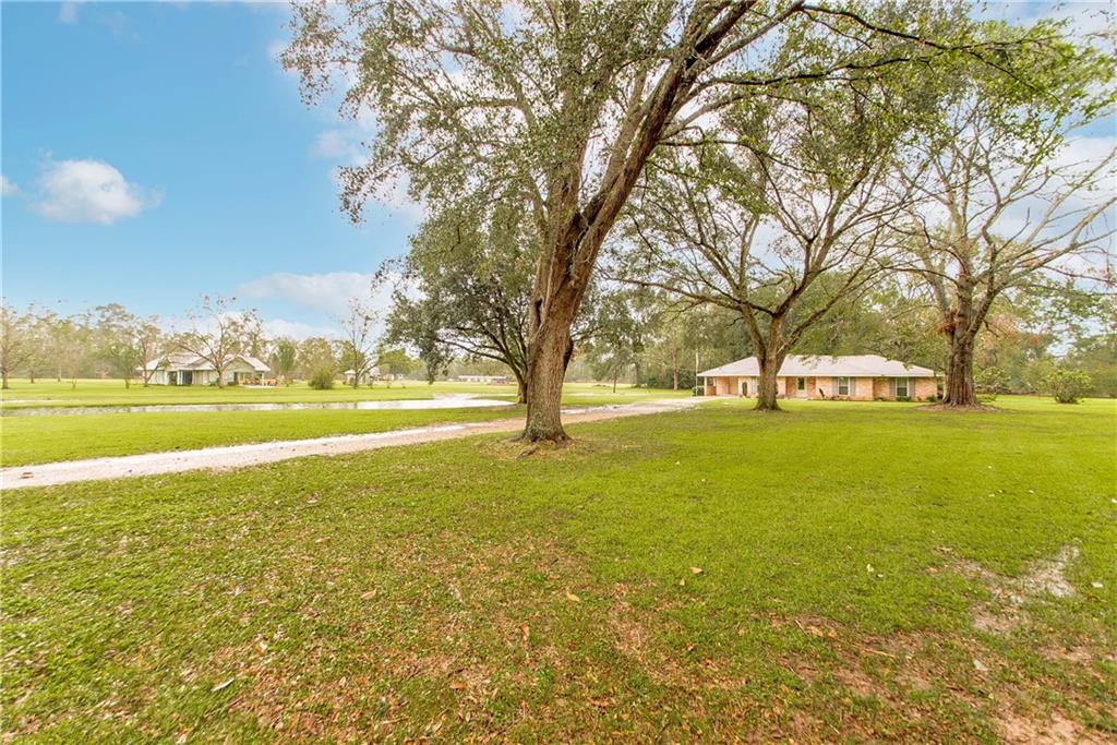17193 Faller Road Tickfaw, LA 70466 - Photo 3 of 14 Gallery Image 3