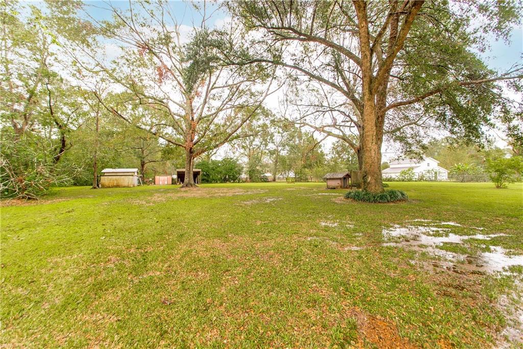 17193 Faller Road Tickfaw, LA 70466 - Photo 4 of 14 Gallery Image 4
