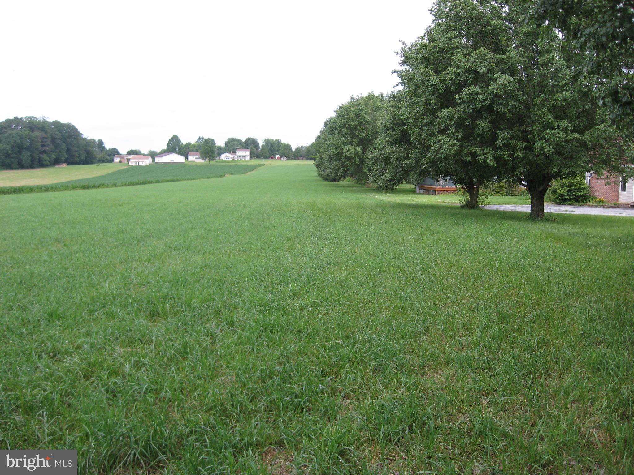 18605 Falls Road Hampstead, MD 21074 - Photo 3 of 6 View along right property line