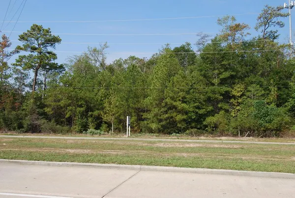 a view of a yard
