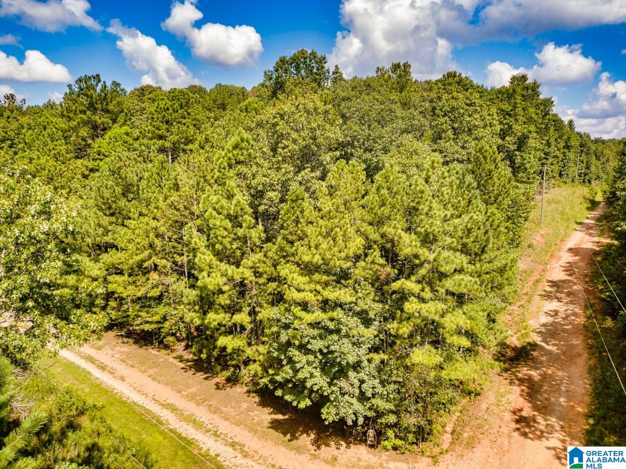 Pinetuckey Drive, Unit 10 Lineville, AL 36266 - Photo 2 of 7