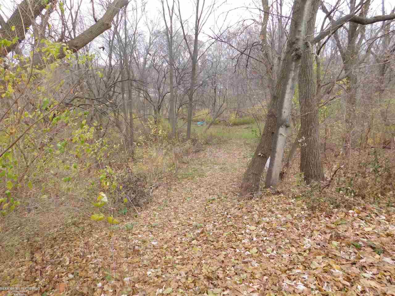 3257 Rattle Run Road St. Clair, MI 48079 - Photo 4 of 19 Path to the Pine River