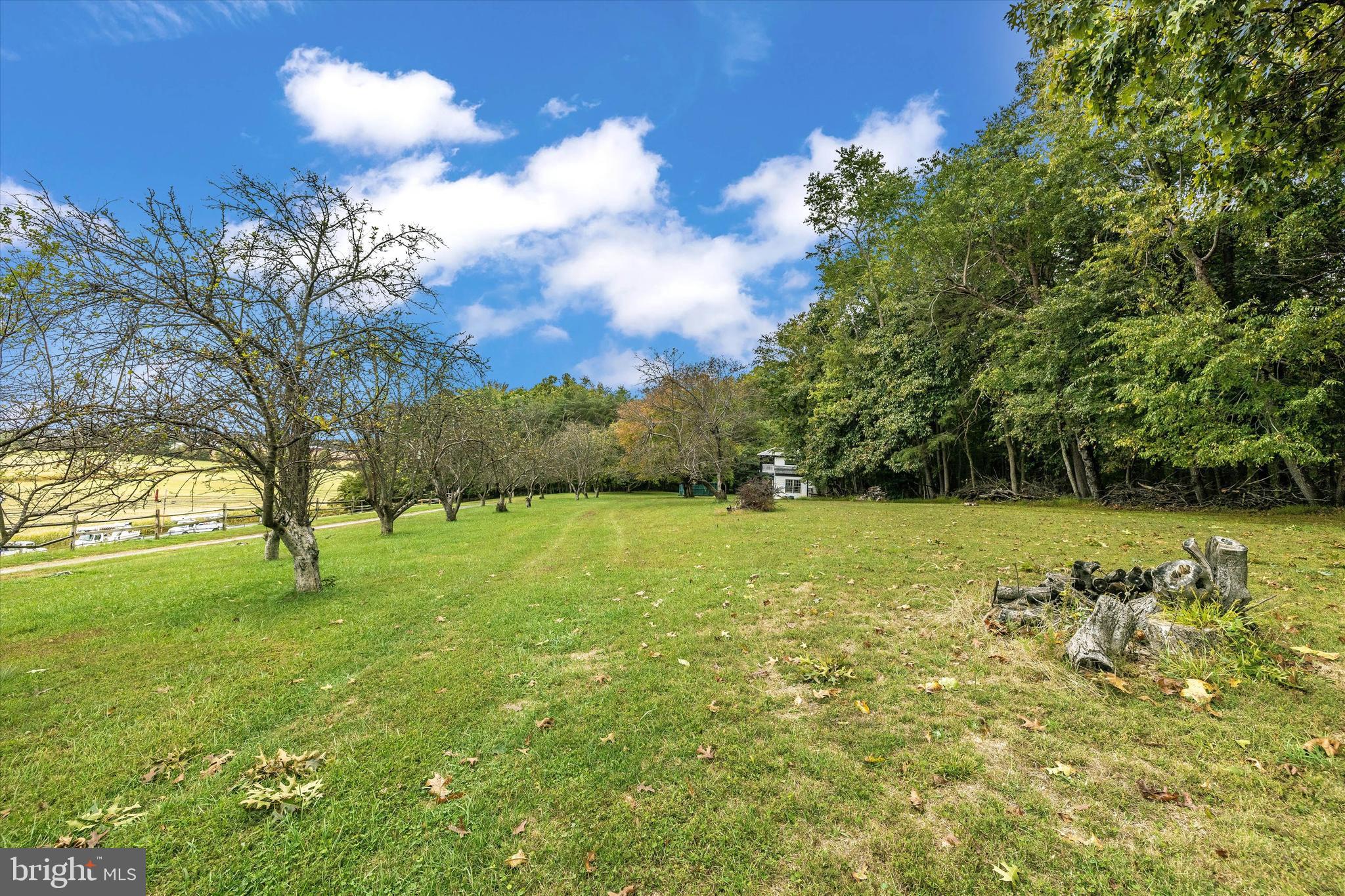 21410 Beallsville Road Dickerson, MD 20842 - Photo 37 of 101