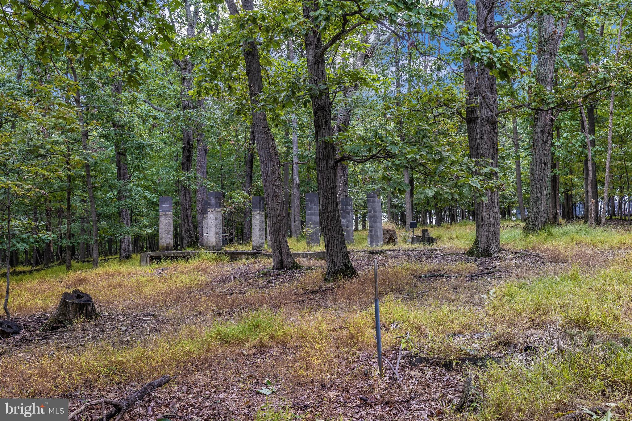 21410 Beallsville Road Dickerson, MD 20842 - Photo 49 of 101