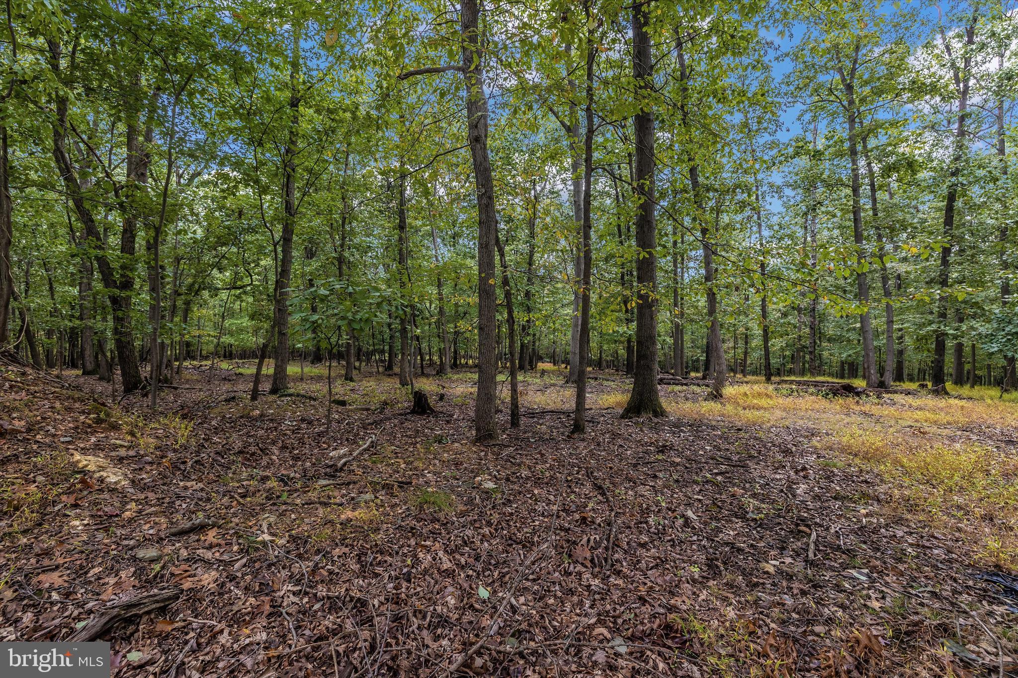 21410 Beallsville Road Dickerson, MD 20842 - Photo 50 of 101