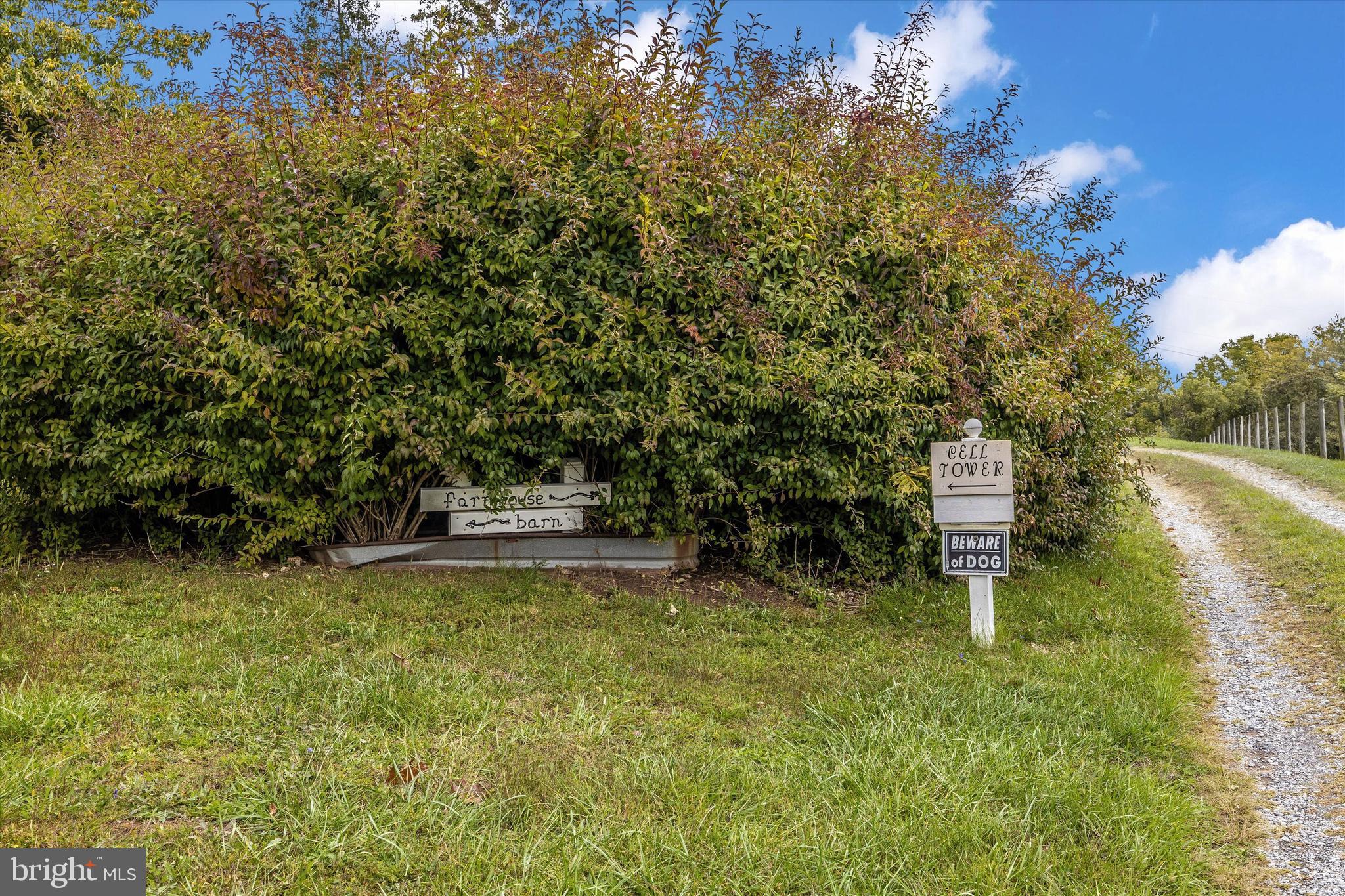 21410 Beallsville Road Dickerson, MD 20842 - Photo 52 of 101