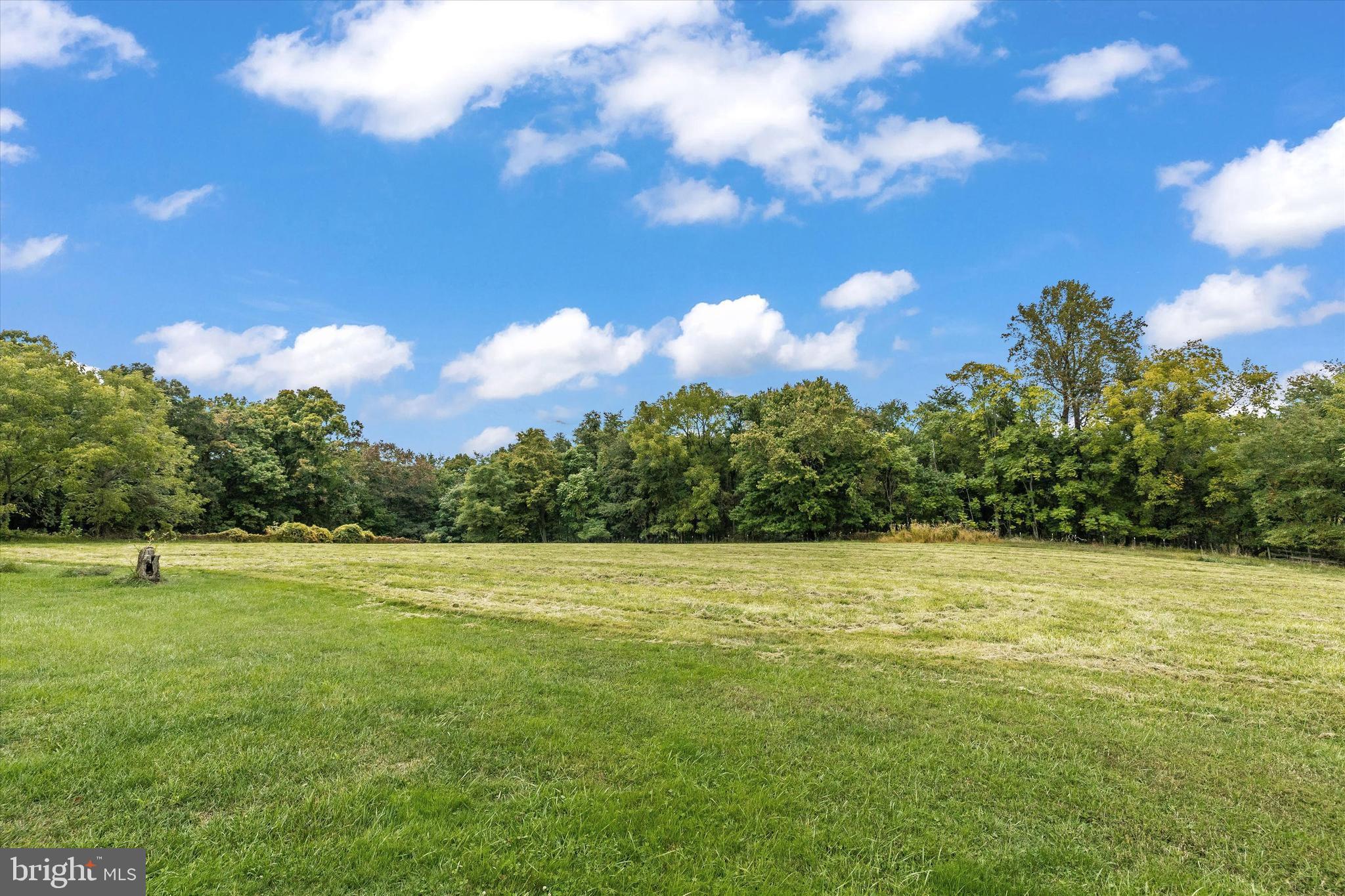 21410 Beallsville Road Dickerson, MD 20842 - Photo 7 of 101