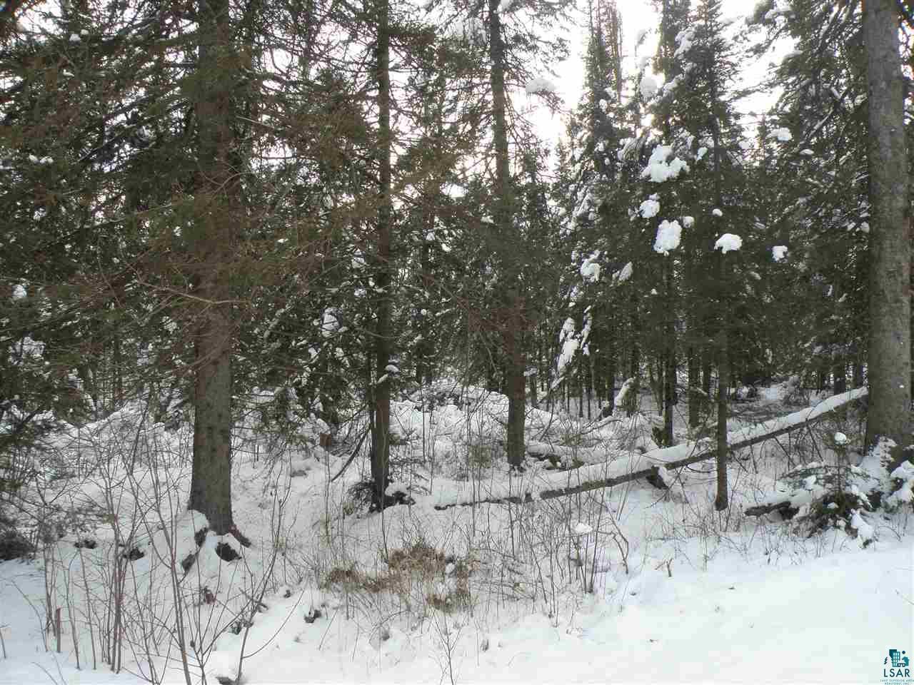 Two East Alger Grade Two Harbors, MN 55616 - Photo 6 of 17 Gallery Image 6