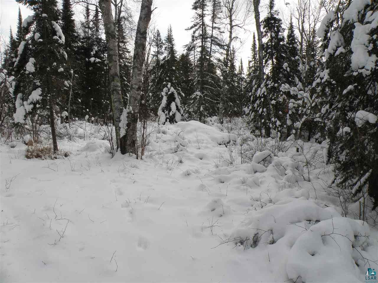 Two East Alger Grade Two Harbors, MN 55616 - Photo 8 of 17 Gallery Image 8