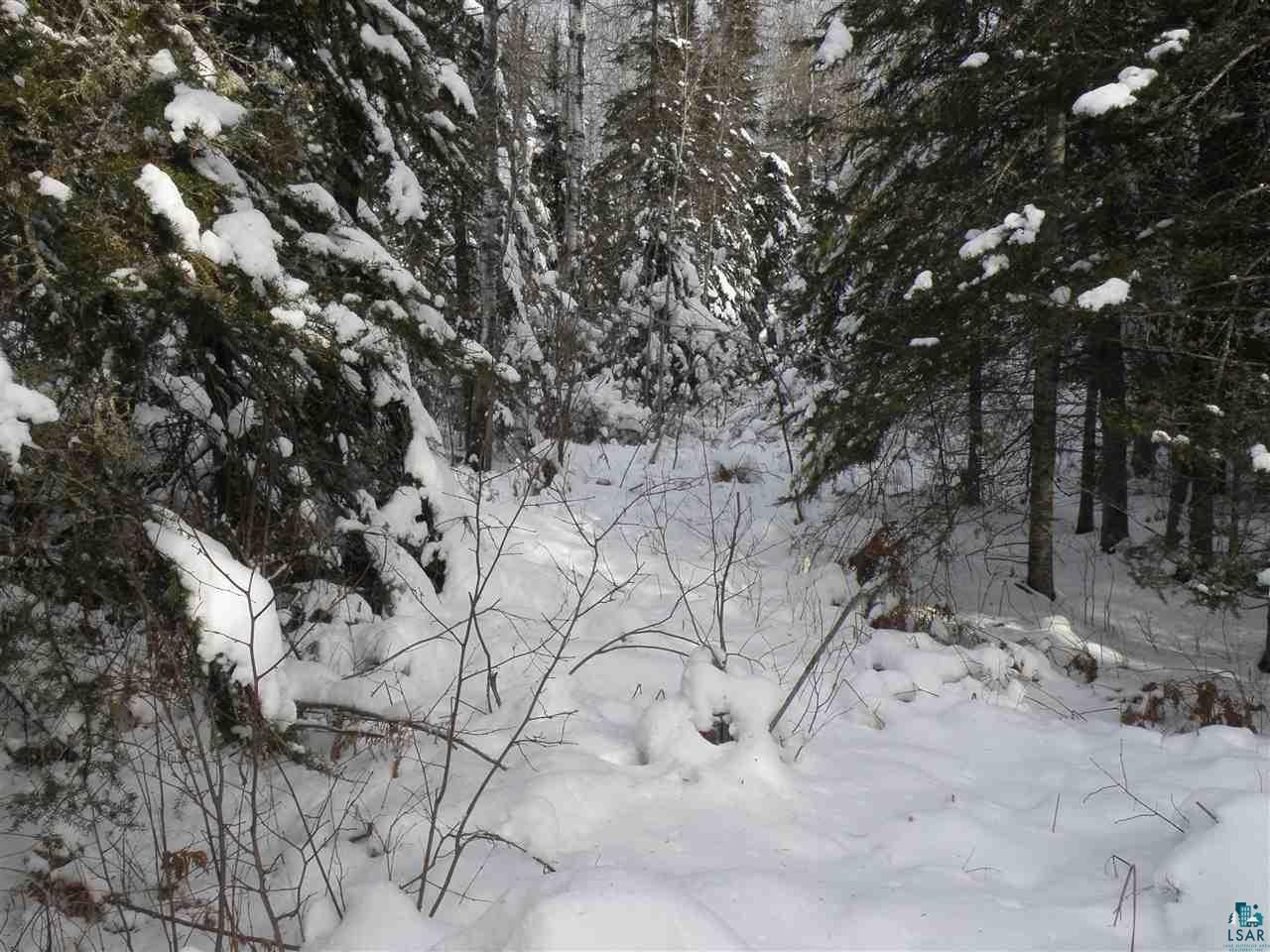 Two East Alger Grade Two Harbors, MN 55616 - Photo 10 of 17 Gallery Image 10