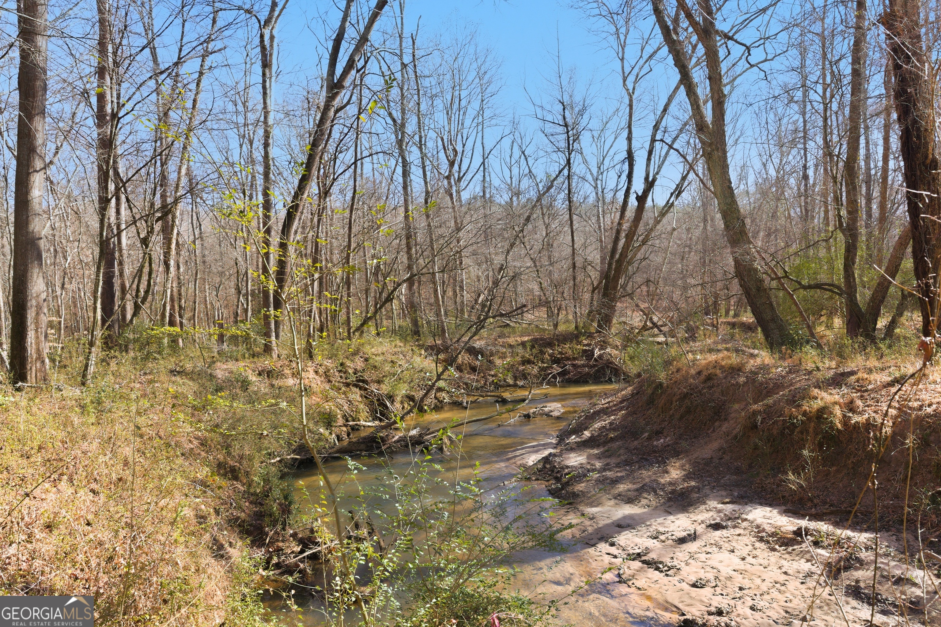 0 Davis Road Eastanollee, GA 30538 - Photo 11 of 22