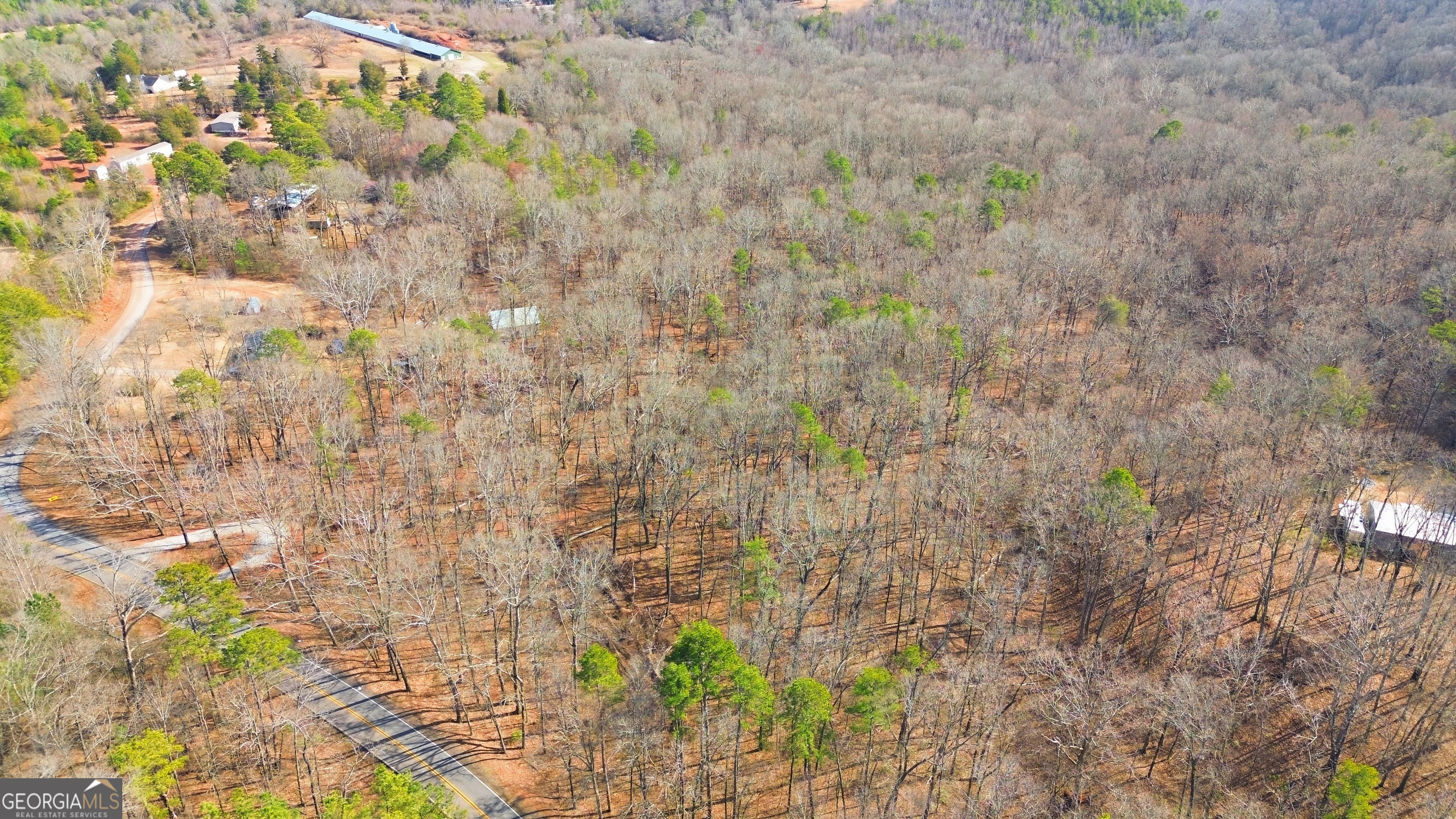 0 Davis Road Eastanollee, GA 30538 - Photo 15 of 22