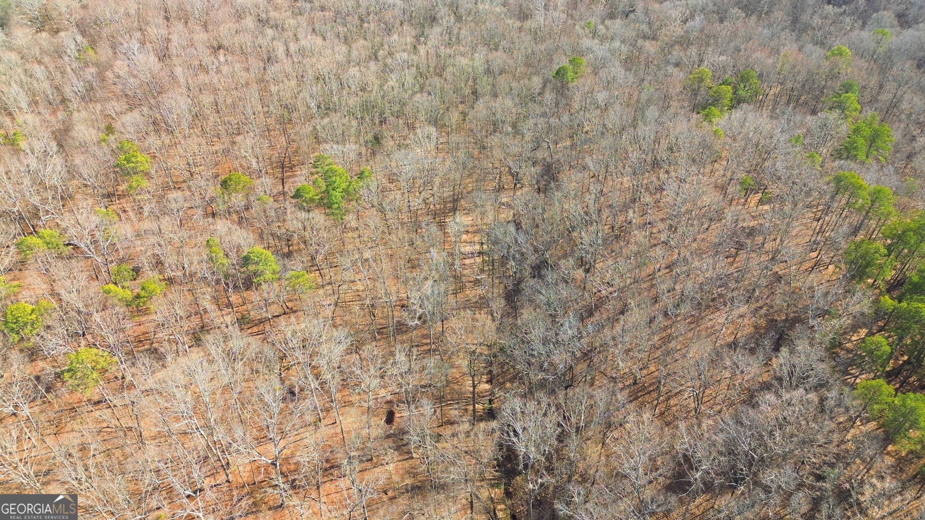 0 Davis Road Eastanollee, GA 30538 - Photo 16 of 22