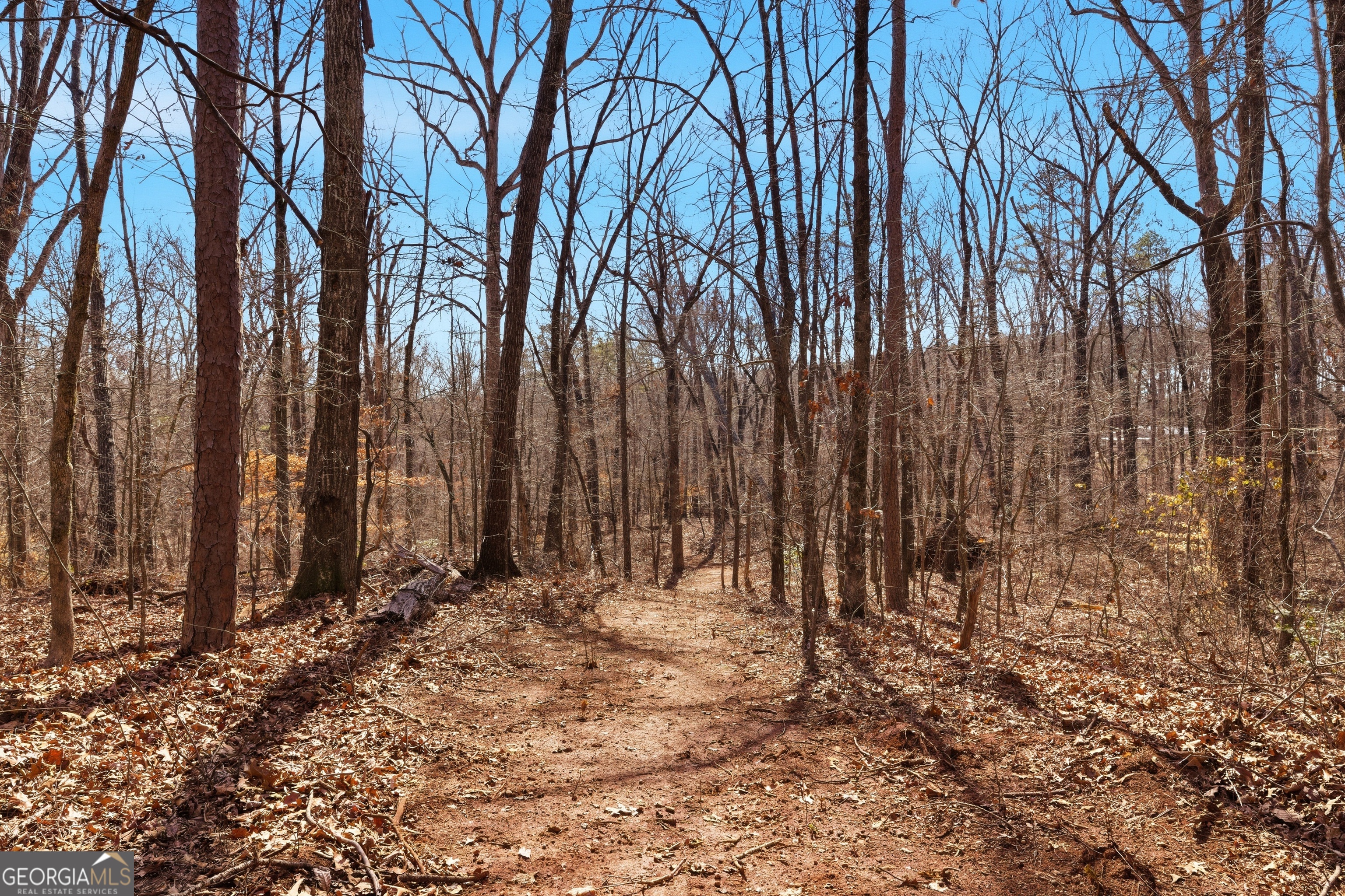 0 Davis Road Eastanollee, GA 30538 - Photo 20 of 22