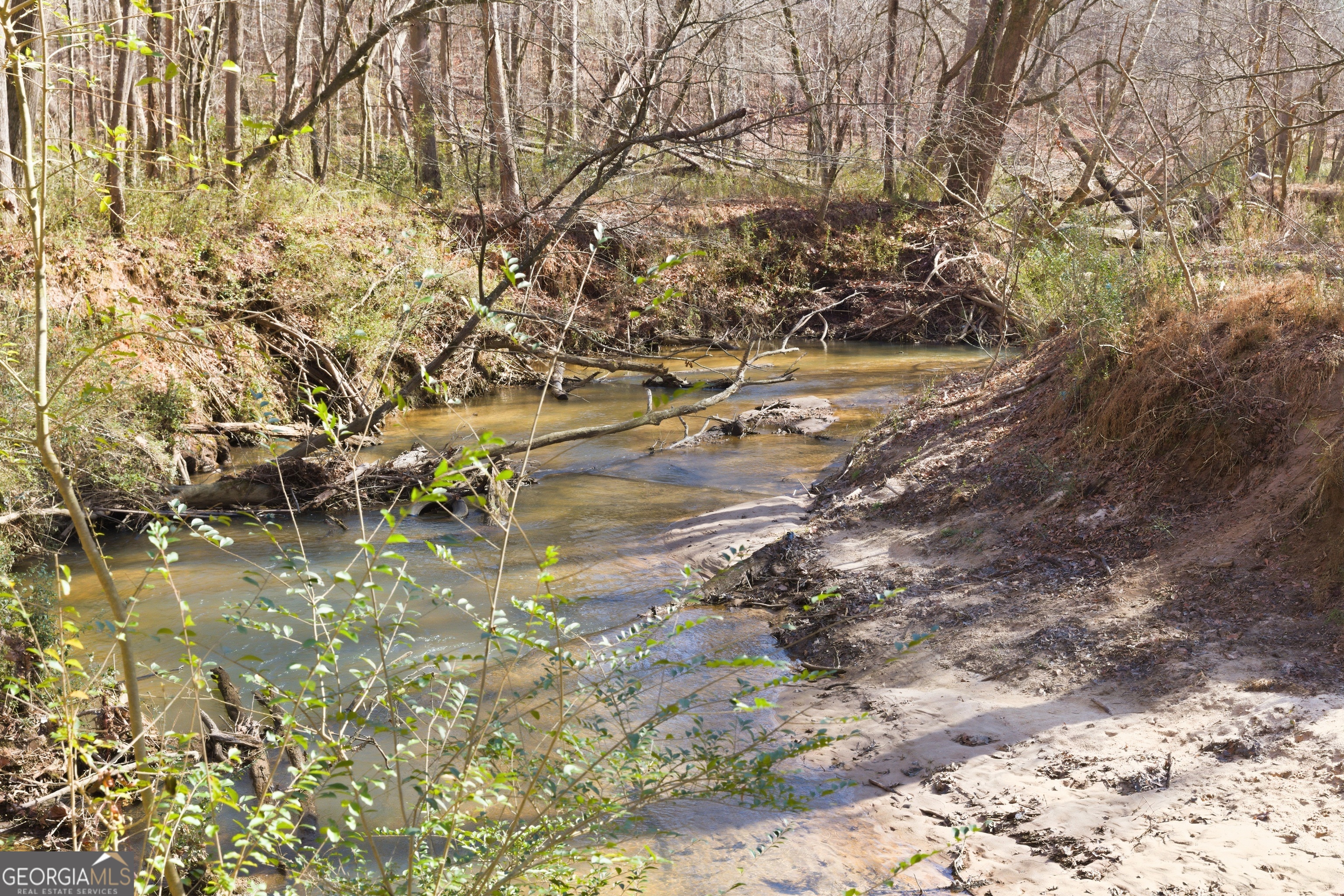 0 Davis Road Eastanollee, GA 30538 - Photo 2 of 22