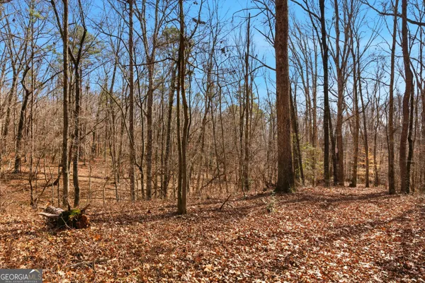 $169,900 | 0 Davis Road, Eastanollee, GA 30538