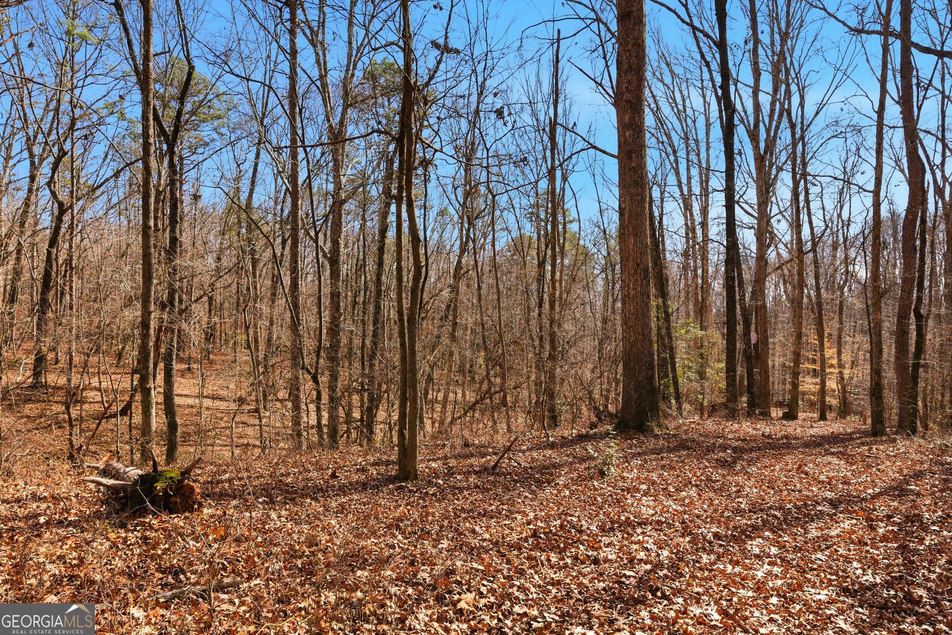 0 Davis Road Eastanollee, GA 30538 - Photo 21 of 22