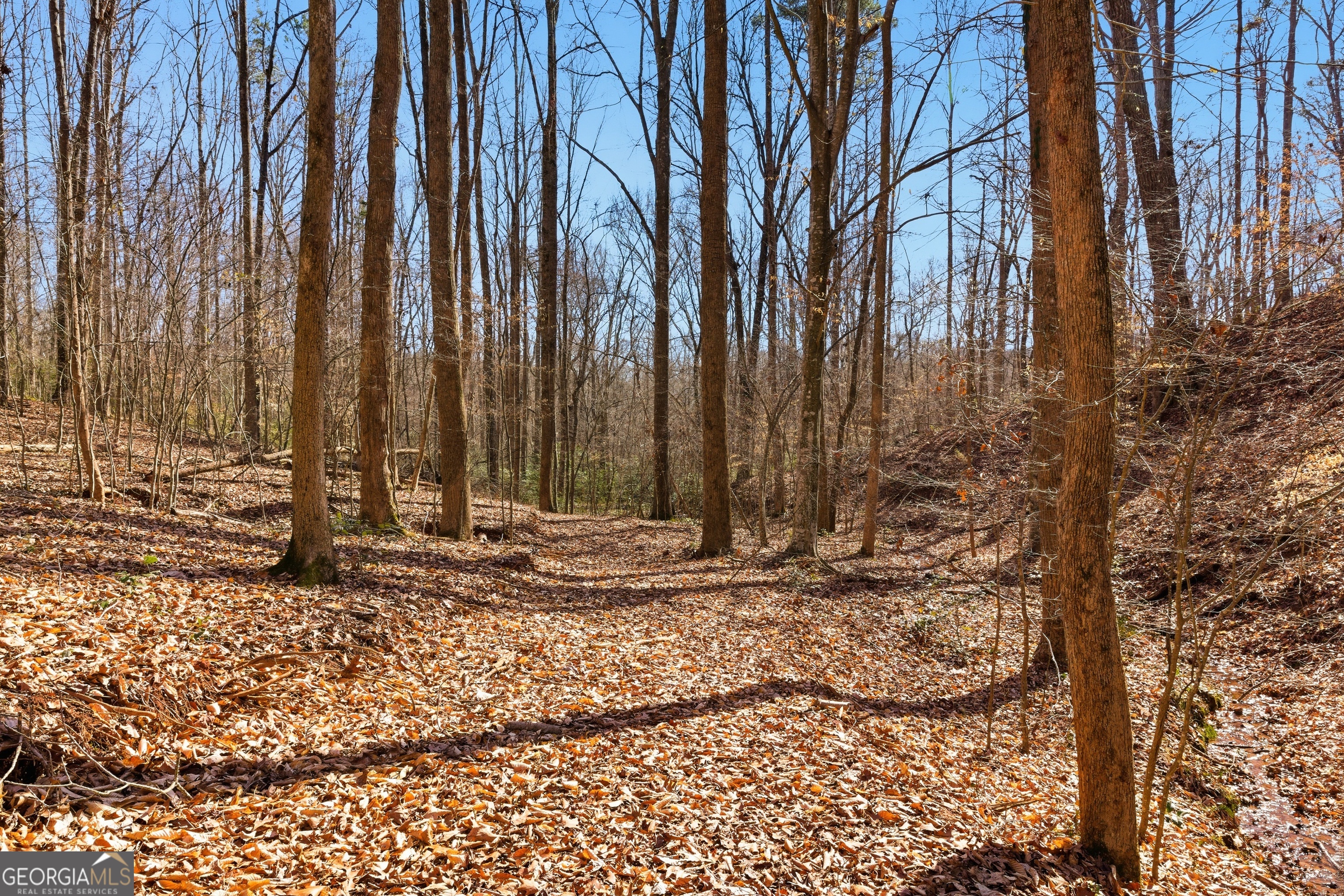 0 Davis Road Eastanollee, GA 30538 - Photo 22 of 22