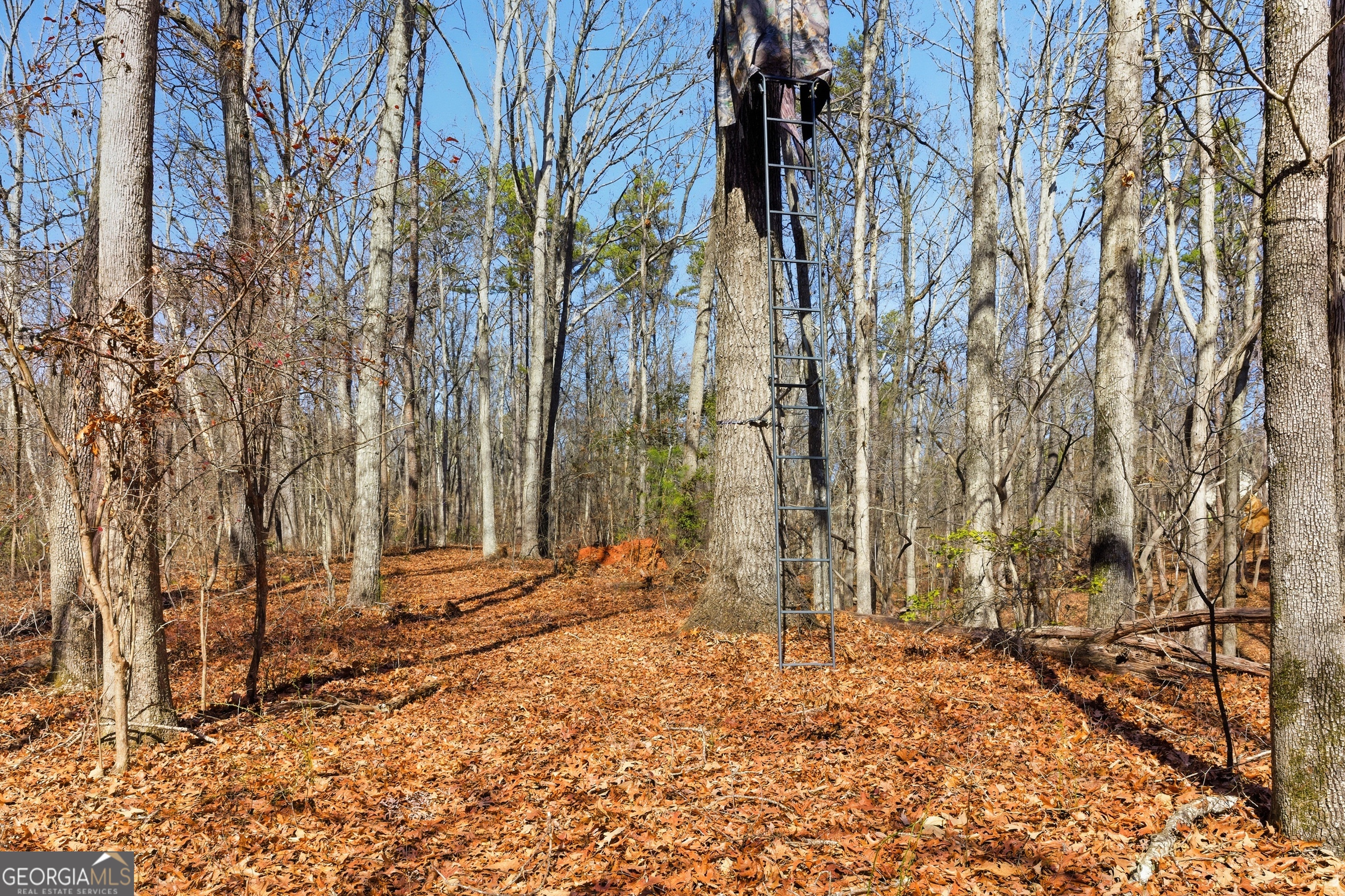 0 Davis Road Eastanollee, GA 30538 - Photo 4 of 22