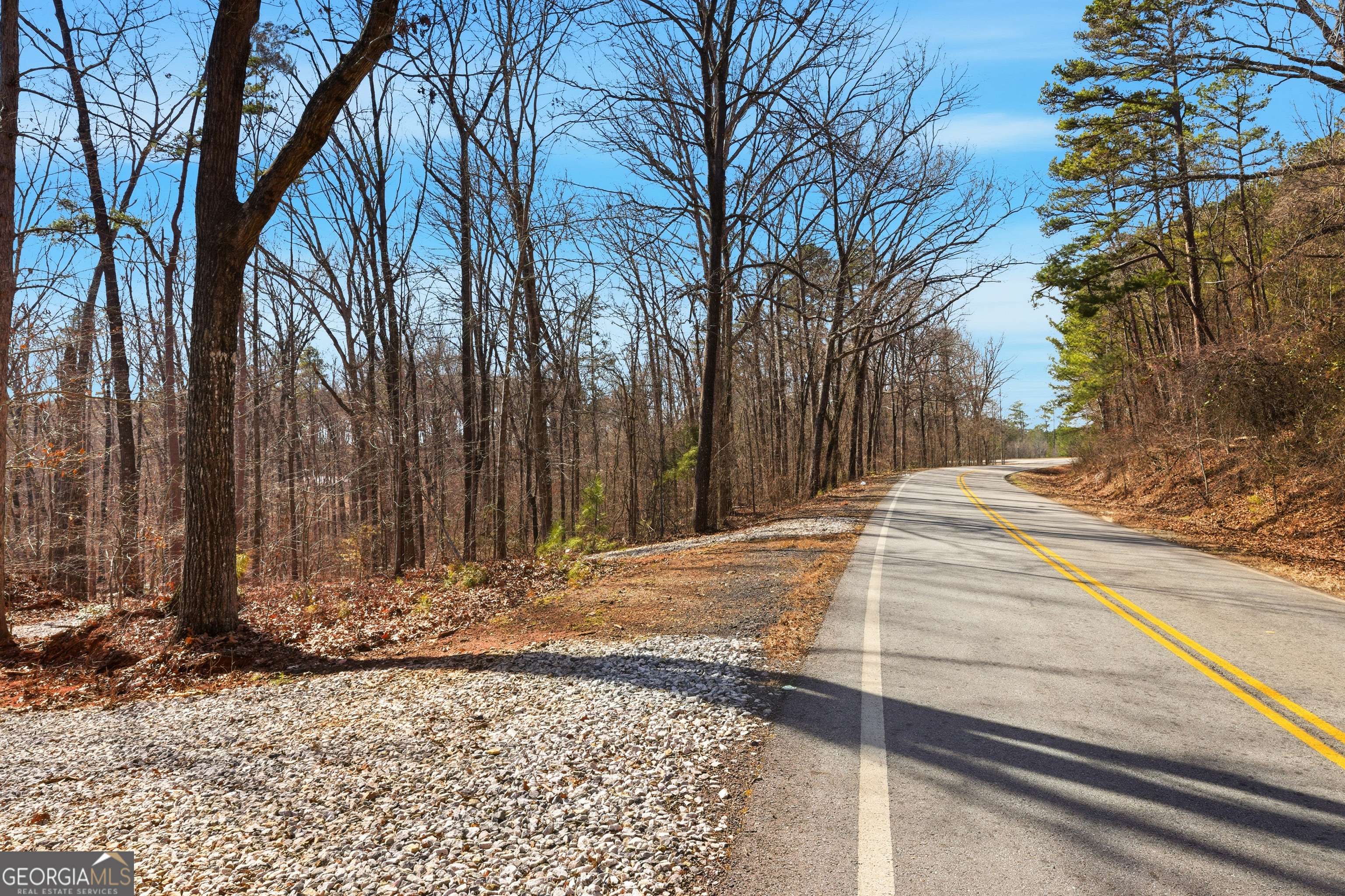 0 Davis Road Eastanollee, GA 30538 - Photo 5 of 22