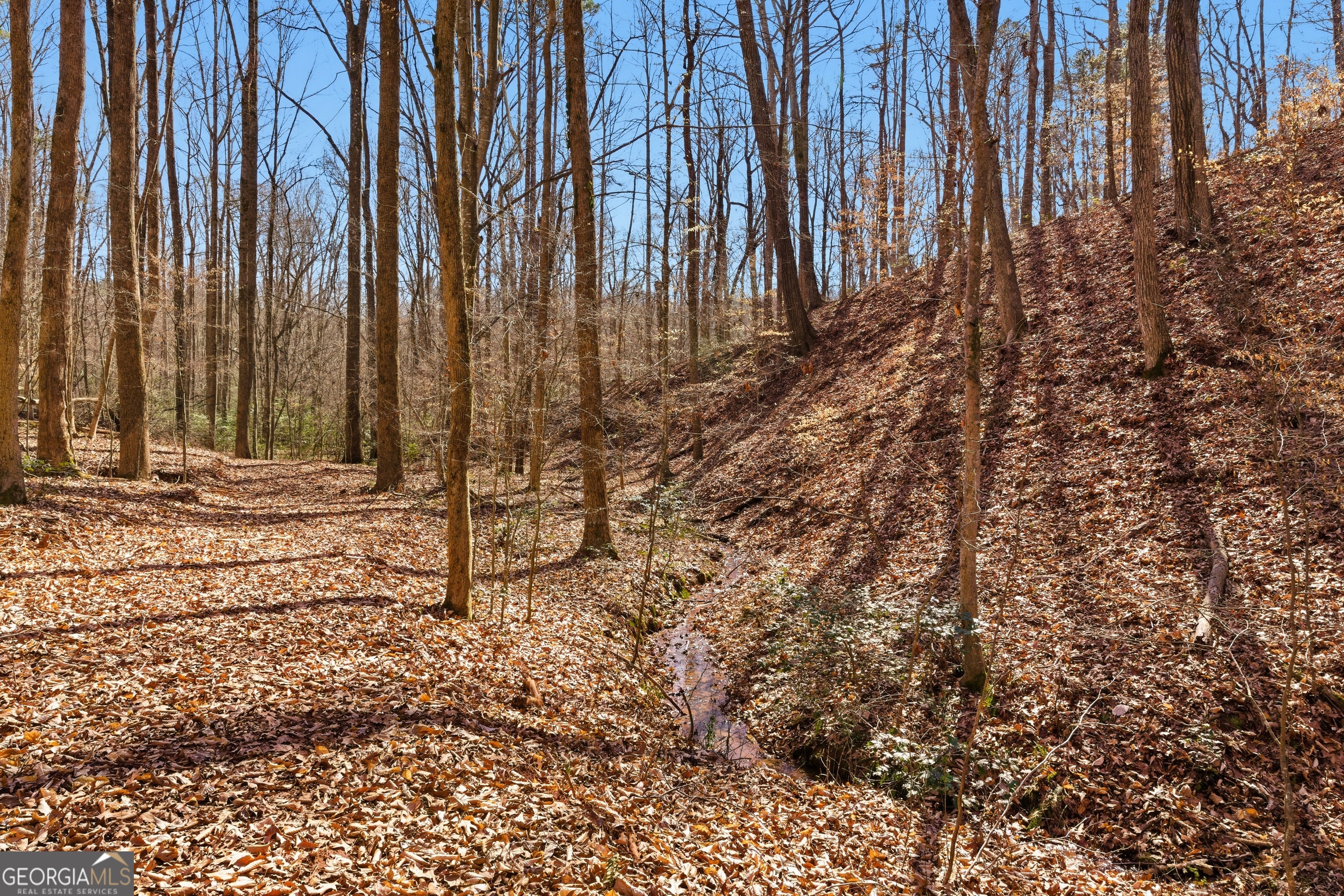 0 Davis Road Eastanollee, GA 30538 - Photo 6 of 22