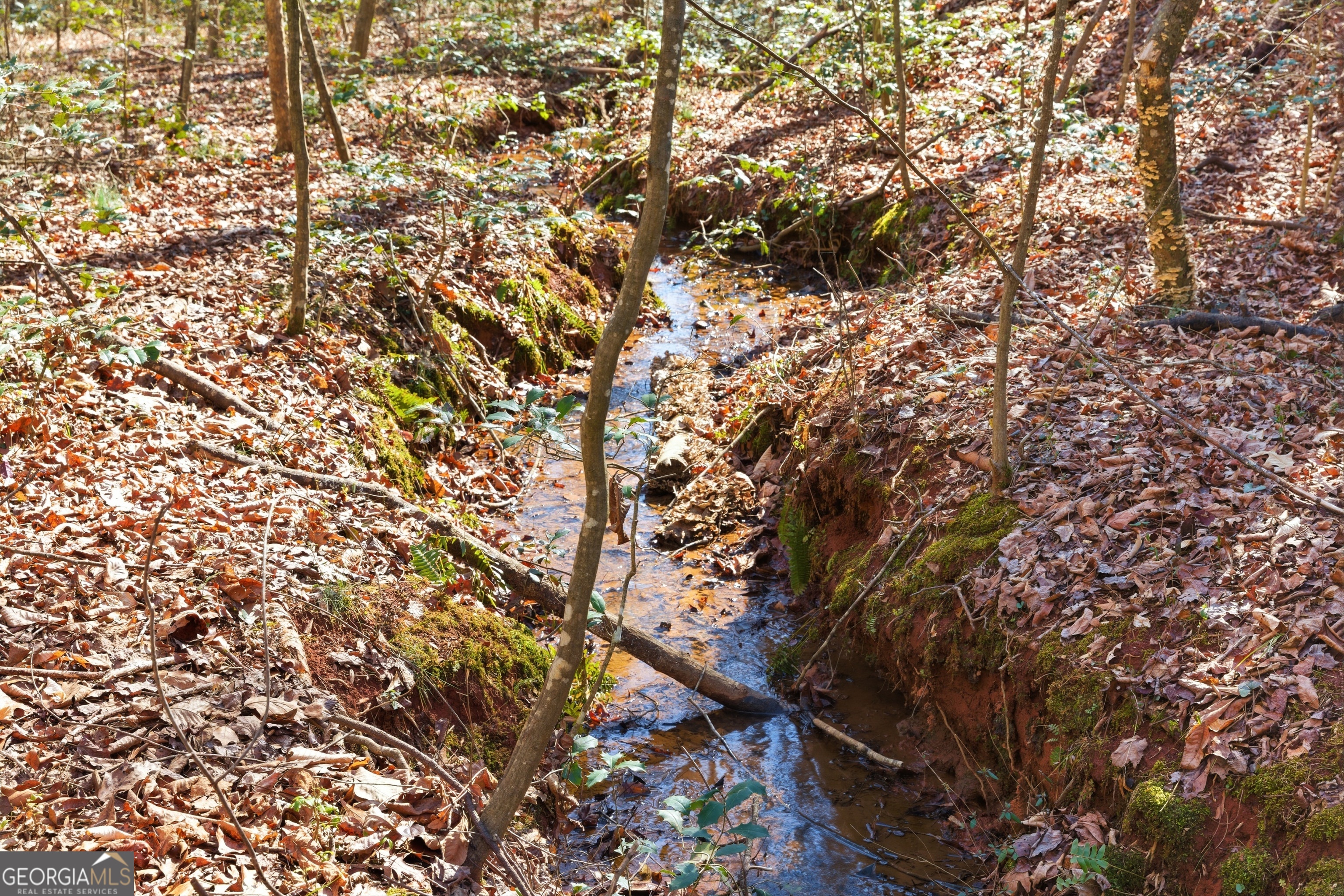 0 Davis Road Eastanollee, GA 30538 - Photo 7 of 22