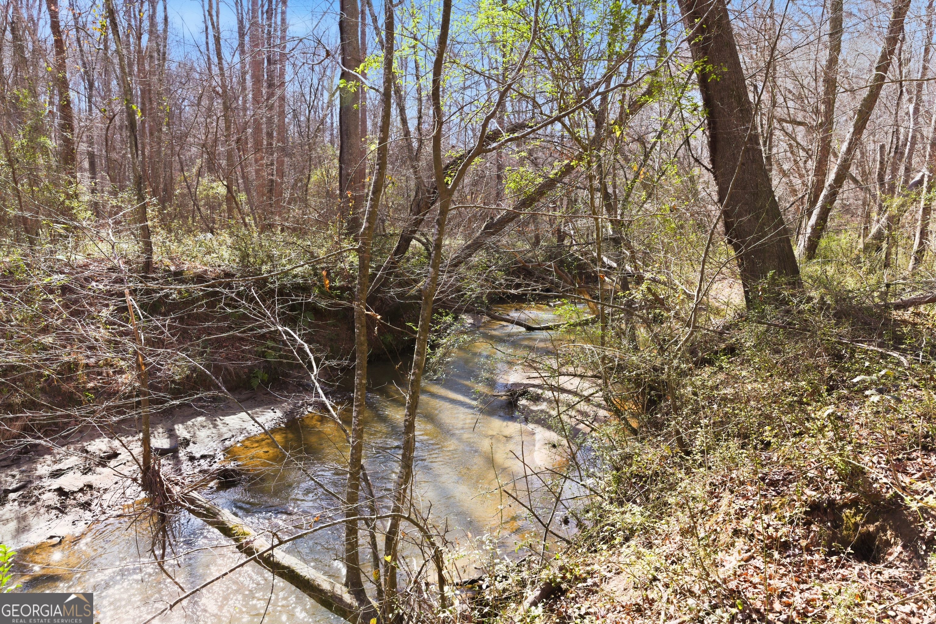 0 Davis Road Eastanollee, GA 30538 - Photo 8 of 22