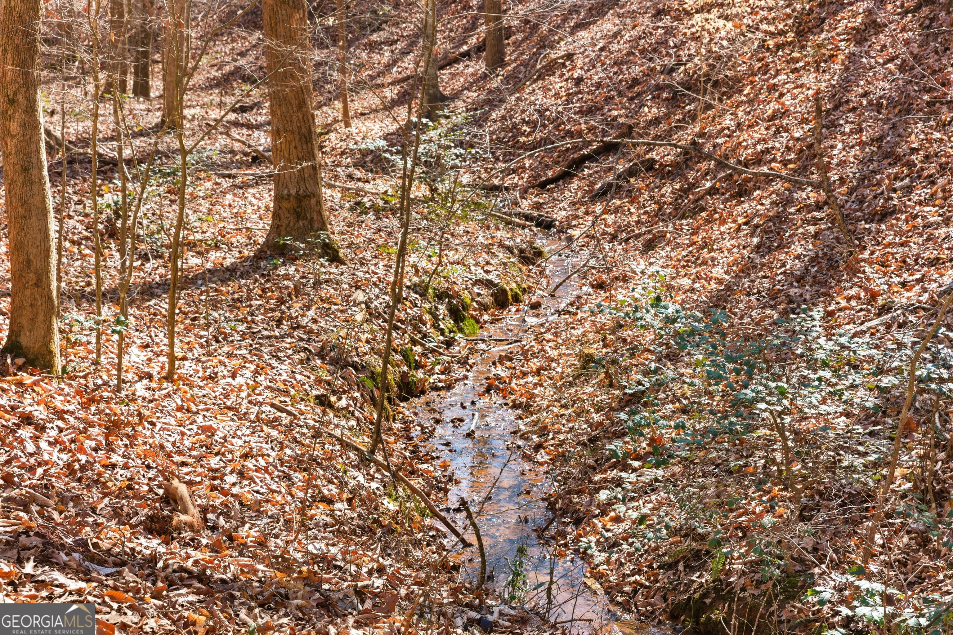 0 Davis Road Eastanollee, GA 30538 - Photo 9 of 22