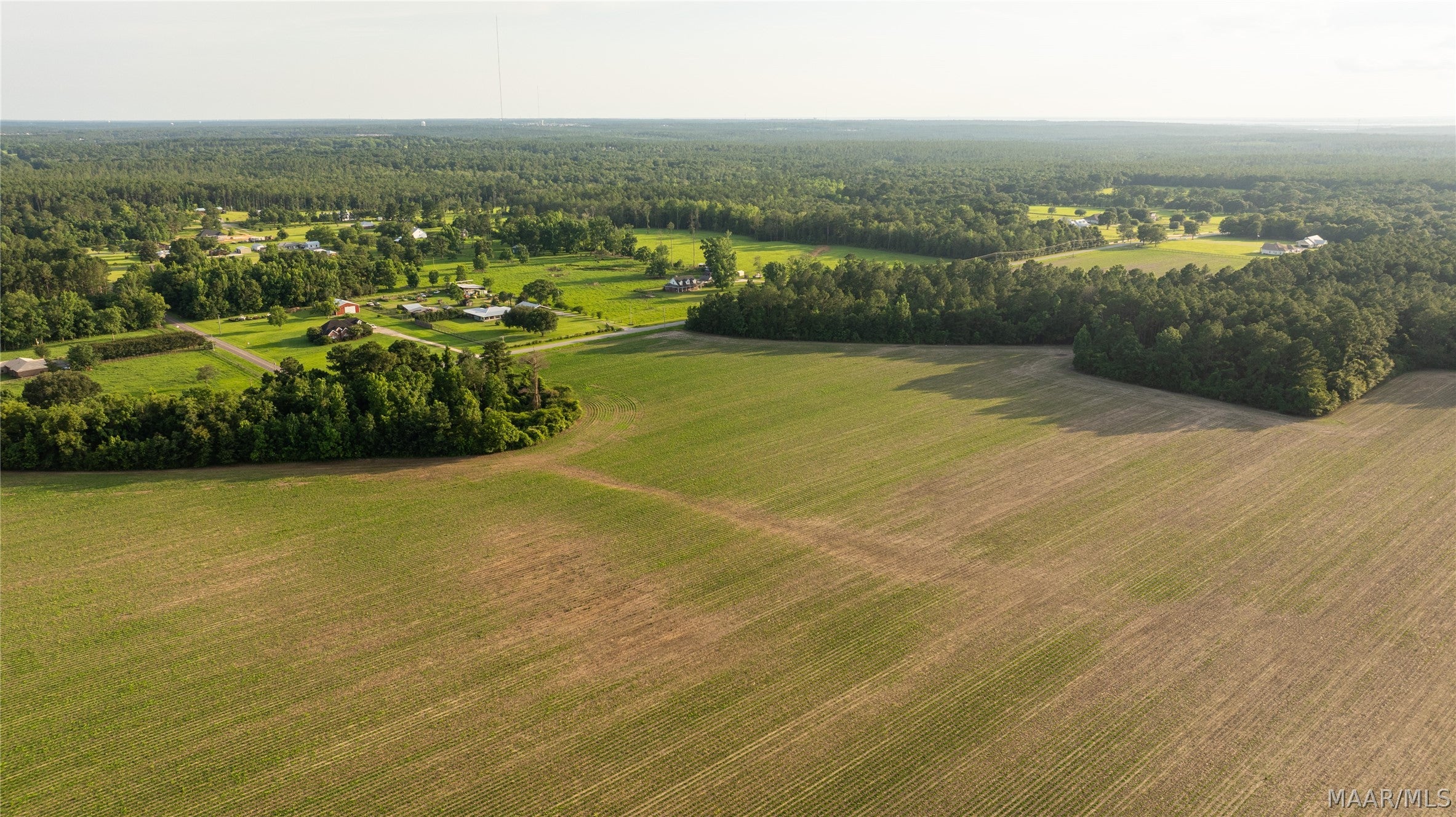 0 Pine Road South Stapleton, AL 36578 - Photo 11 of 53 Gallery Image 11