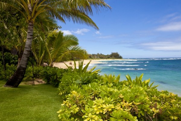7356 Alealea Road Hanalei, HI 96714 - Photo 3 of 3 a view of a lake with a big yard