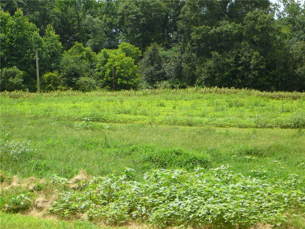 1430 Grady Hall Road Anderson, SC 29626 - Photo 8 of 14 Green pastures await your vision for a secluded retreat or agricultural endeavor.