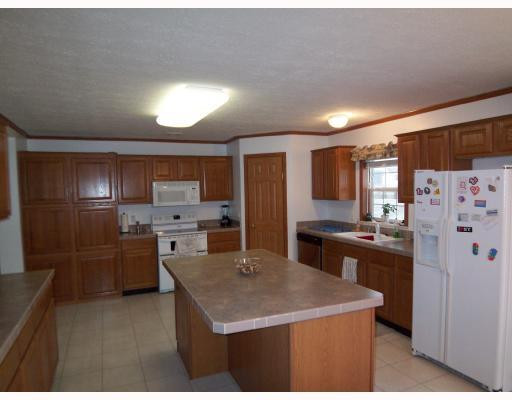 4552 Maute Road Grass Lake, MI 49240 - Photo 4 of 10 Photo 4